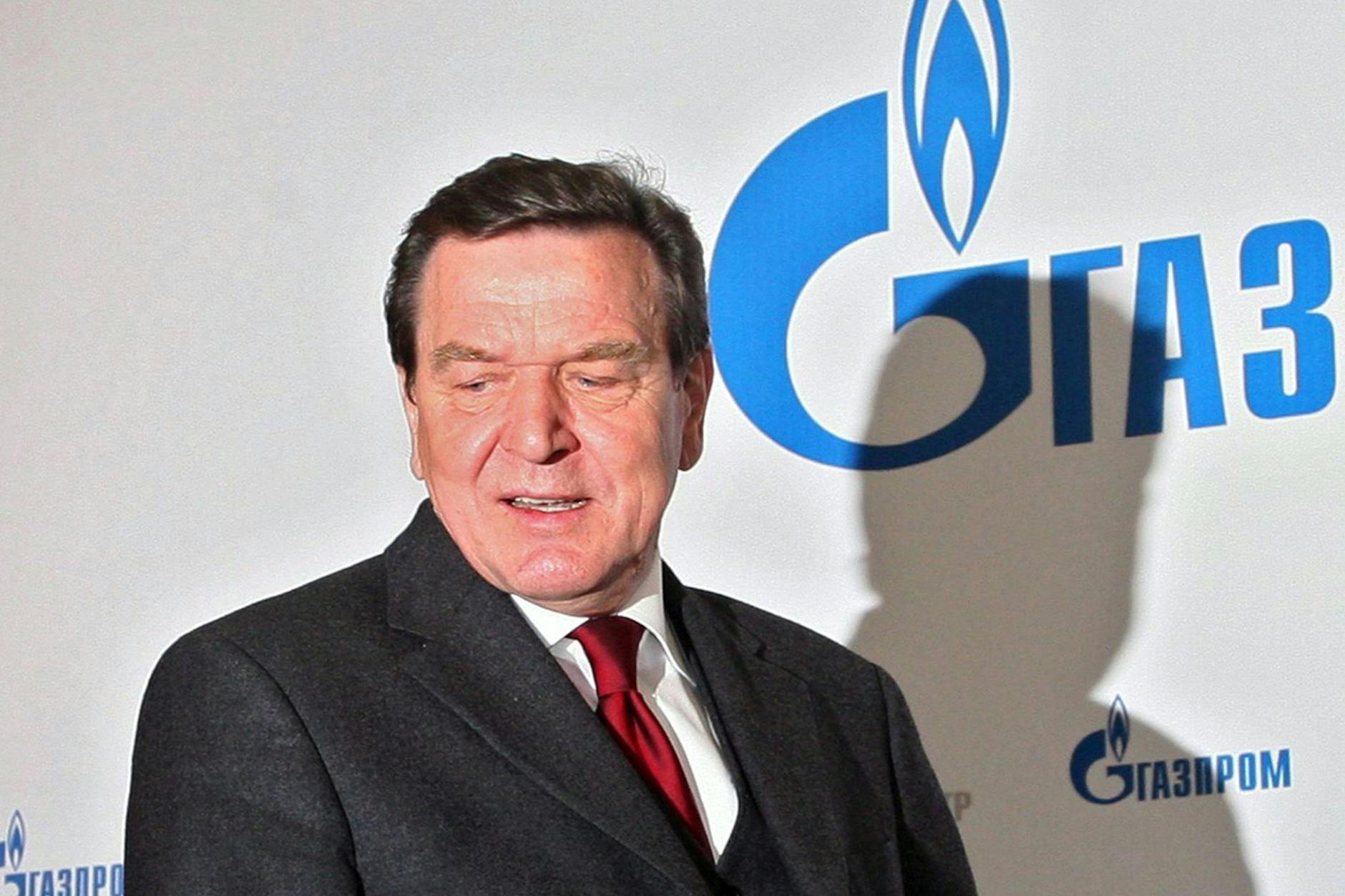 Gerhard Schröder steht wegen seiner Kontakte nach Russland stark in der Kritik.