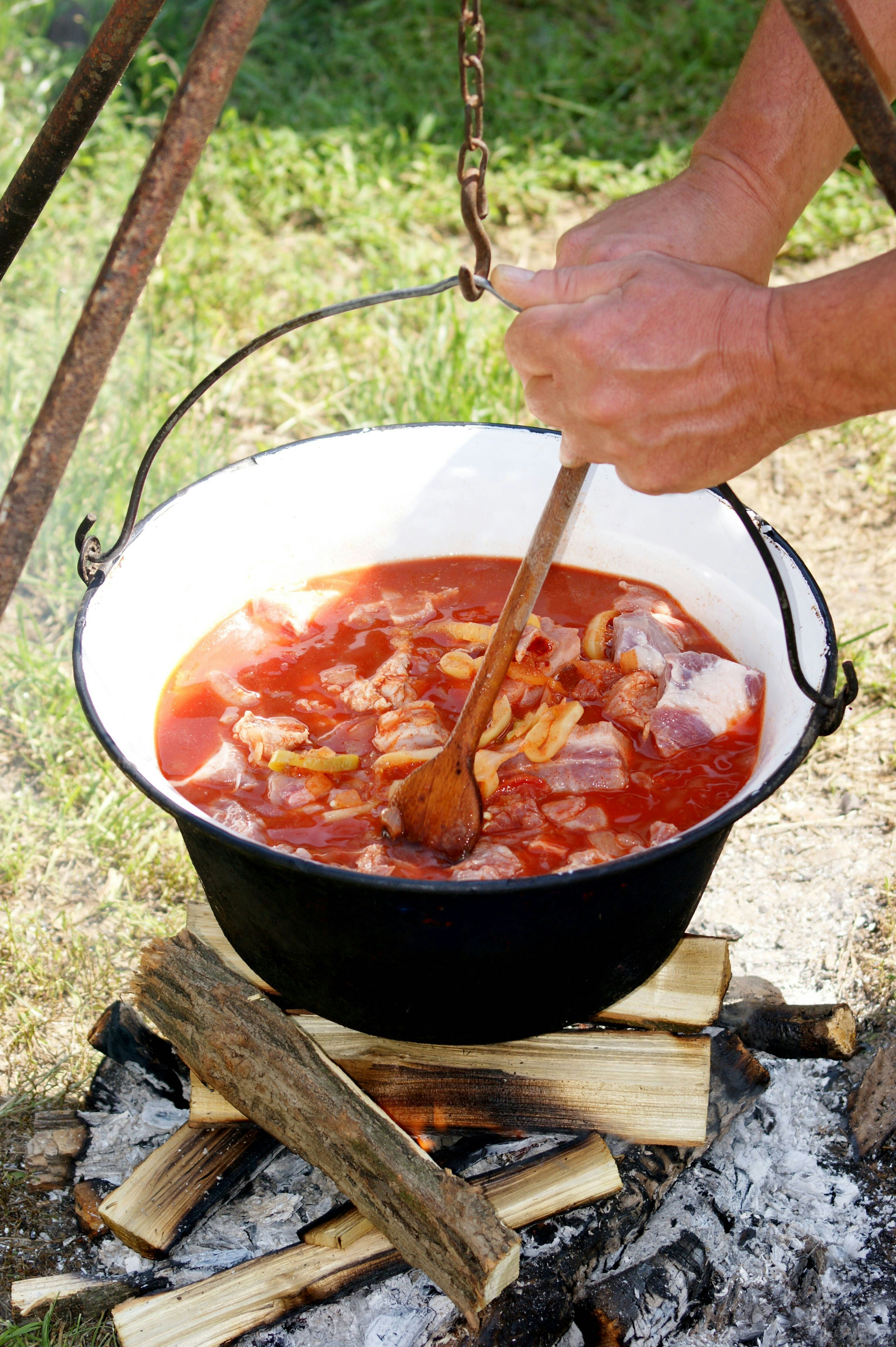 Kennen Sie Golabki? Omas geniales Rezept für die polnische Spezialität