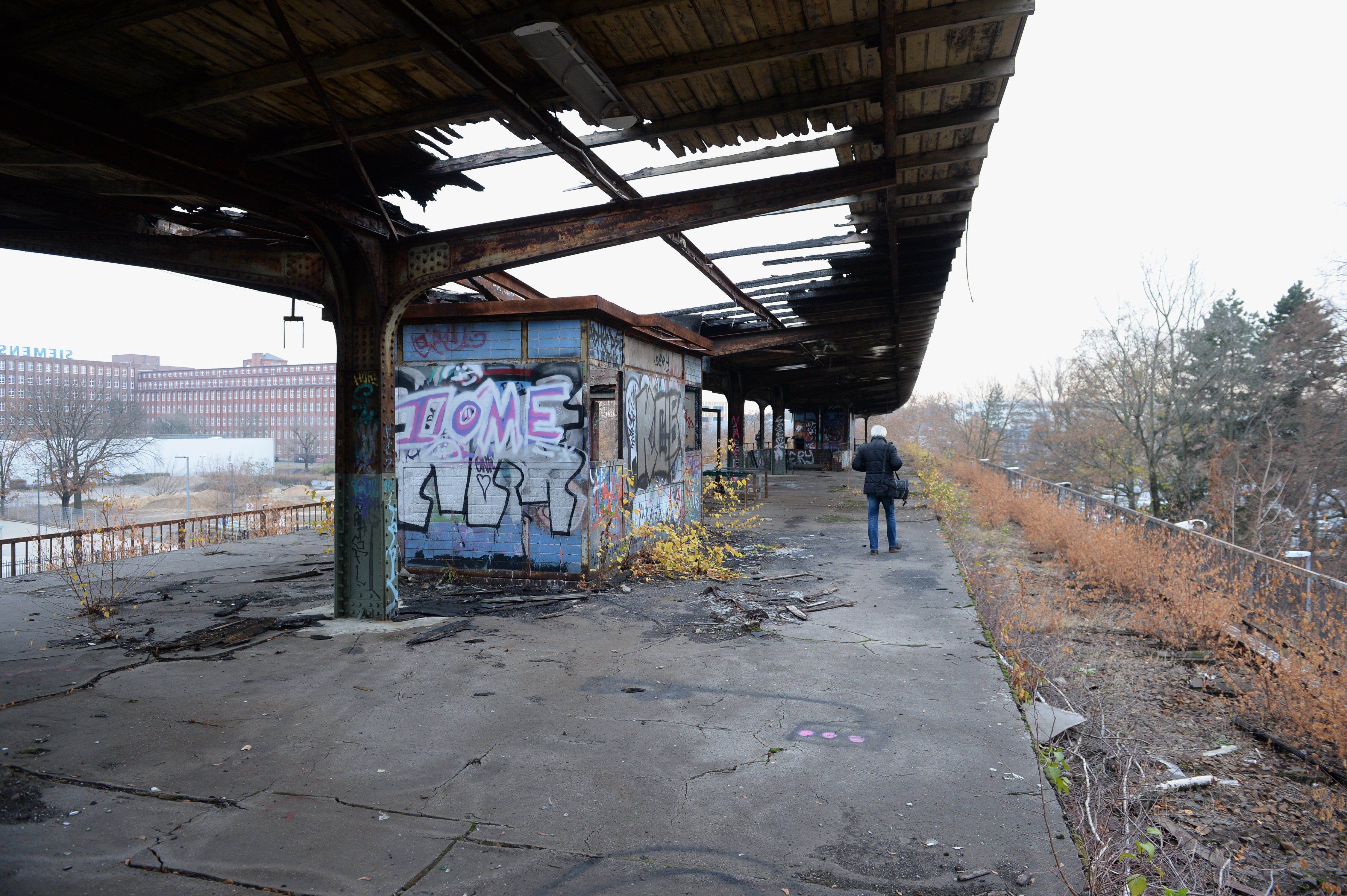 Neue S-Bahn-Trasse für Berlin – aber was passiert mit den Kaninchen?