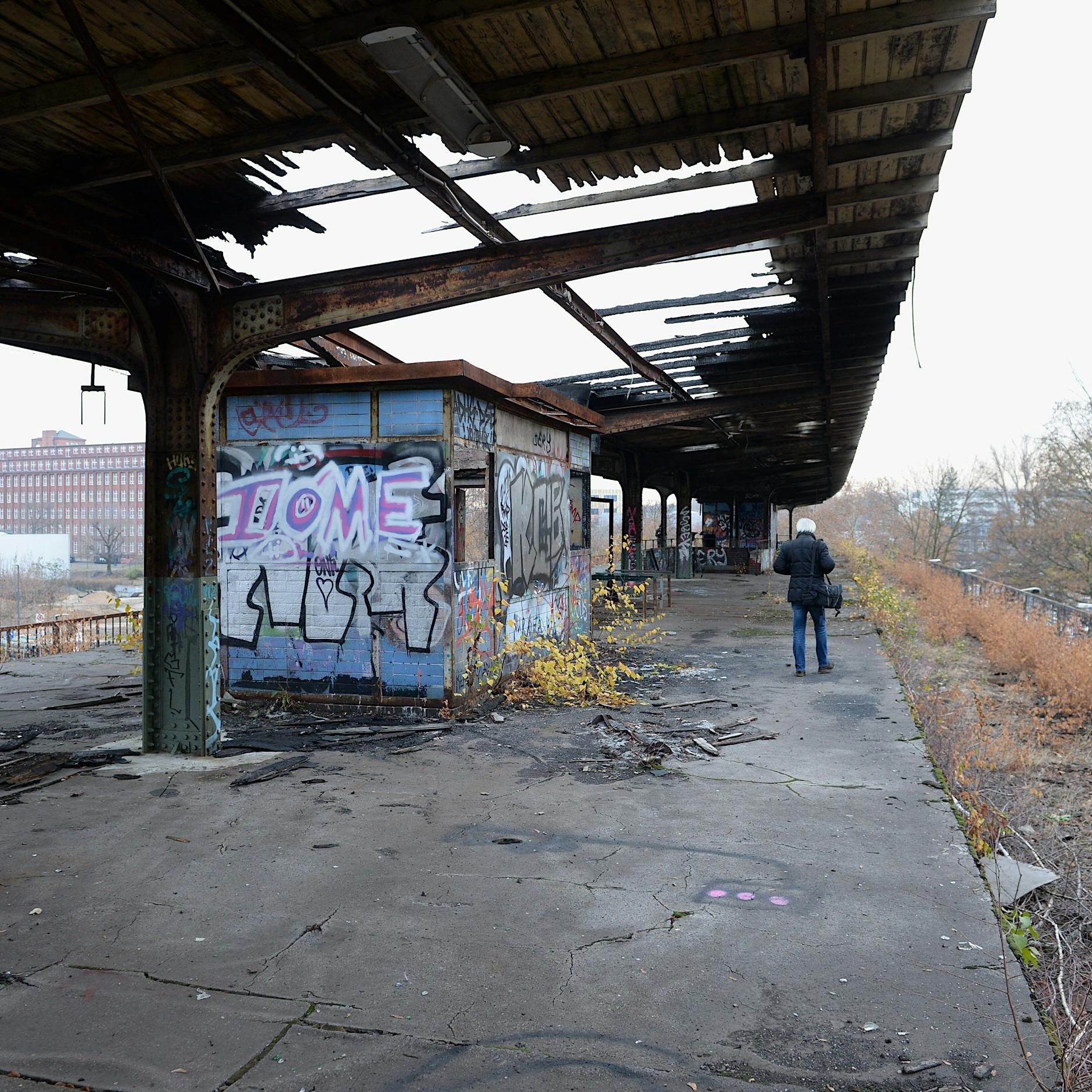 Neue S-Bahn-Trasse für Berlin – aber was passiert mit den Kaninchen?