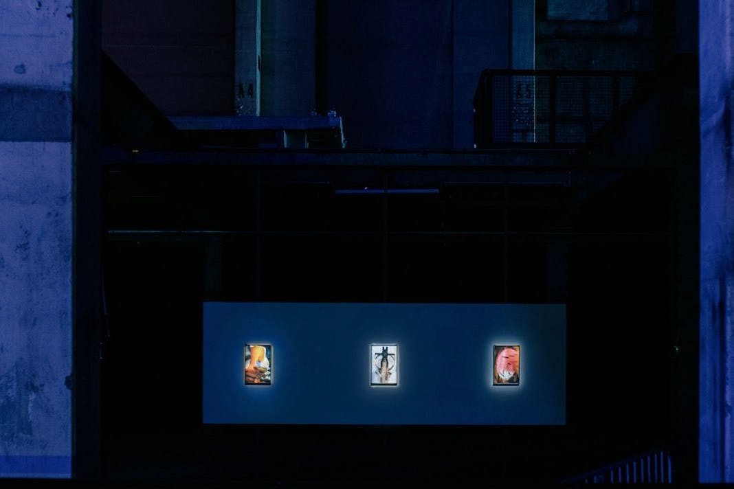 Die Ausstellung umfasste über zwei Dutzend Kunstwerke.