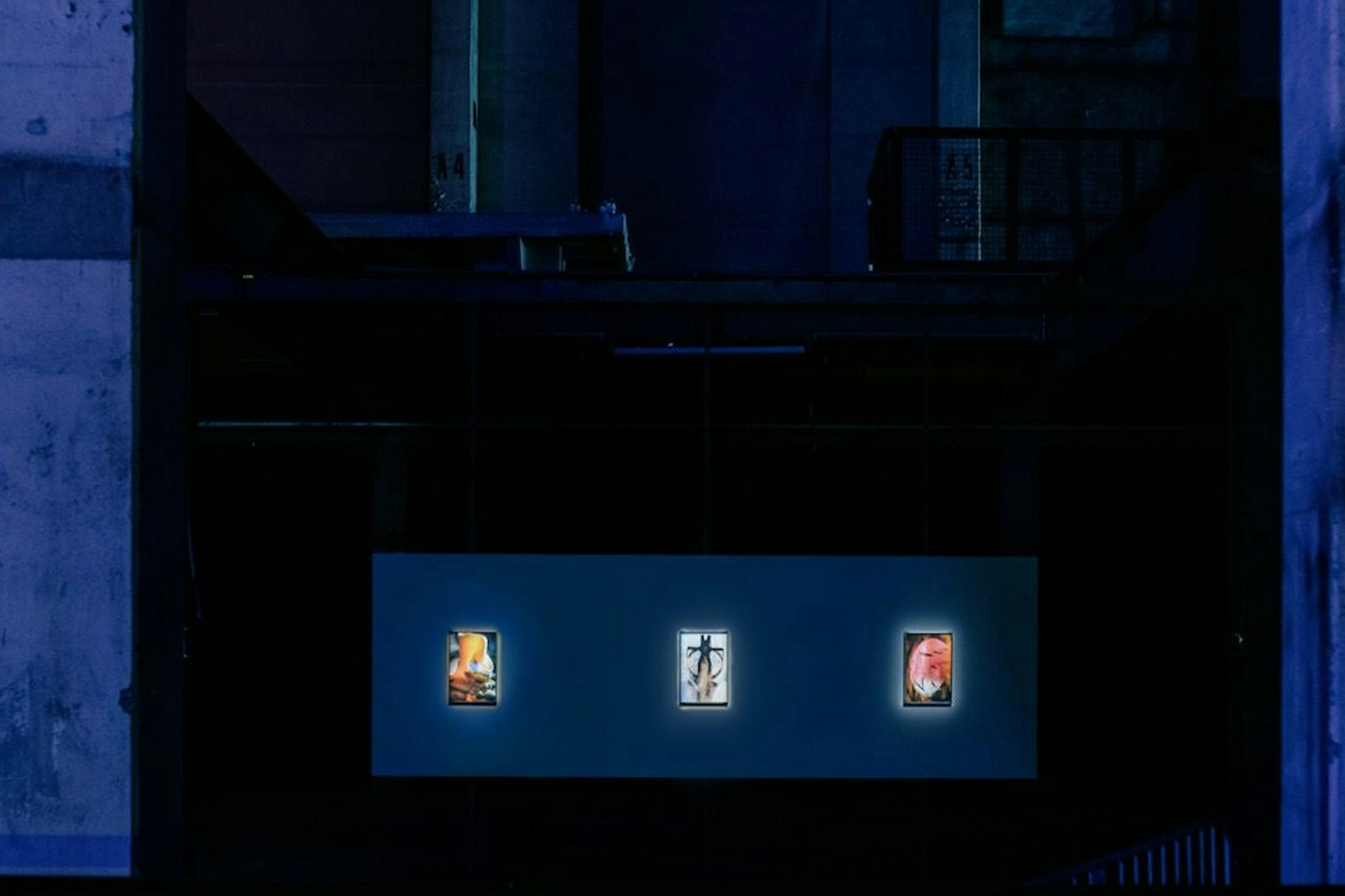 Die Ausstellung umfasste über zwei Dutzend Kunstwerke.