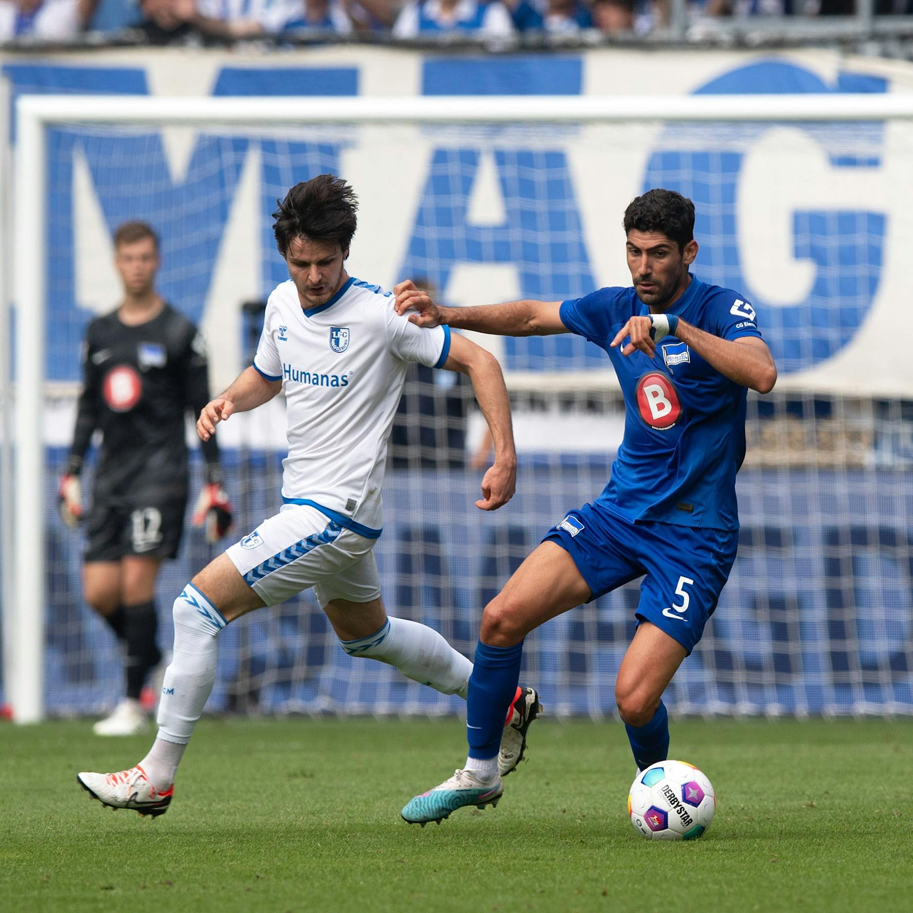 Hertha BSC: Vorhang auf für Mittelfeld-Boss Andreas Bouchalakis
