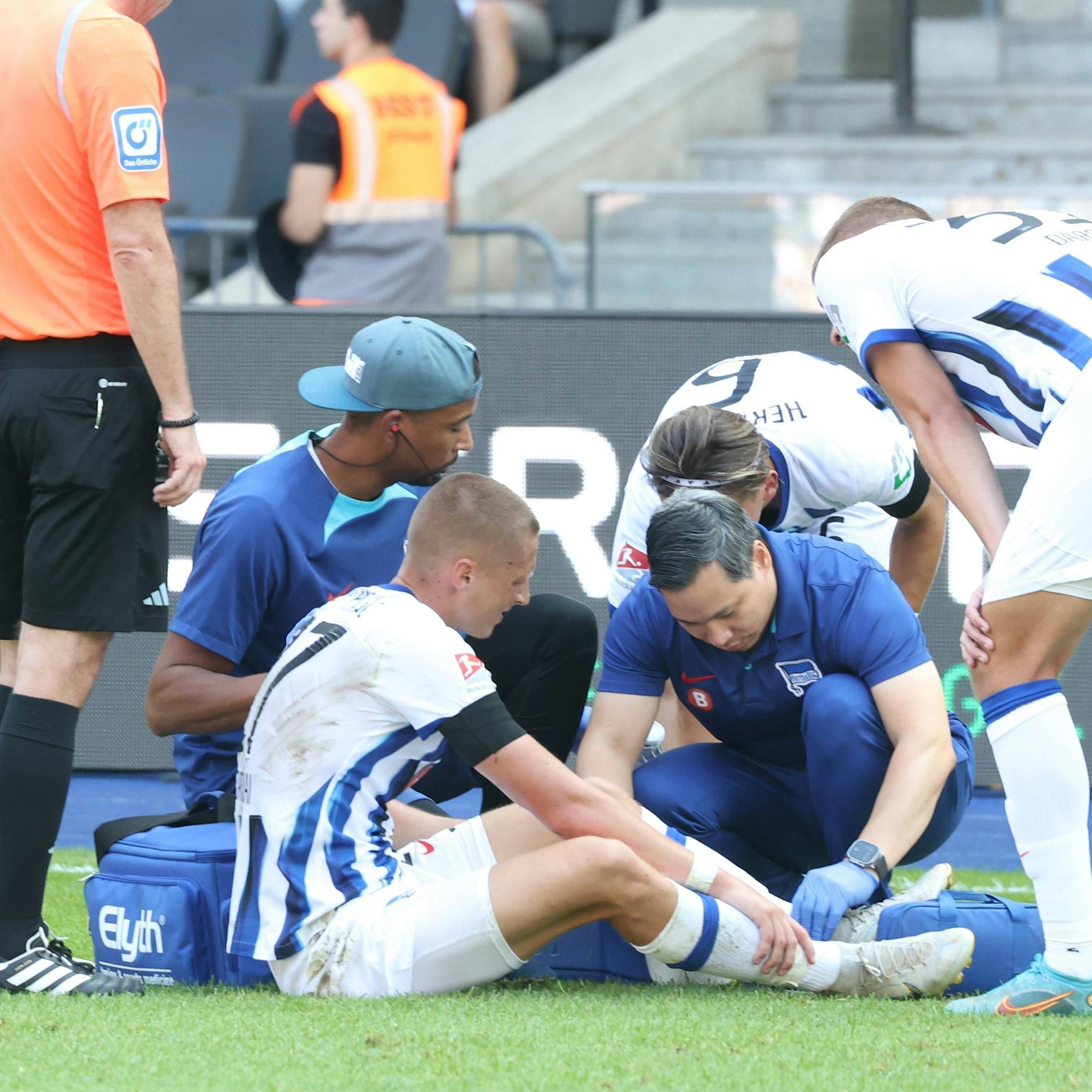 Schock für Hertha BSC: Palko Dardai kaputt, nun muss Bruder Bence ran