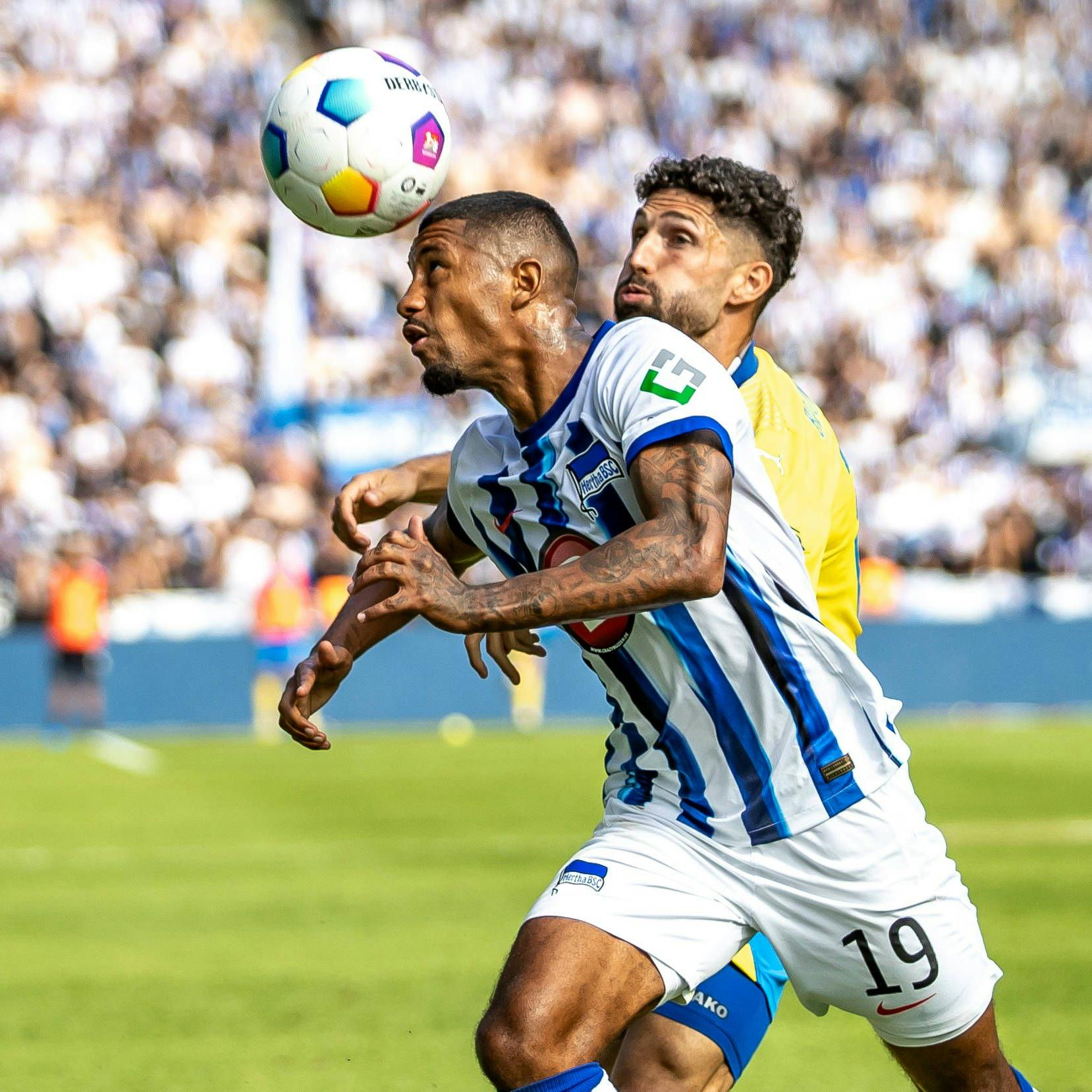 Jeremy Dudziak ist bei Herthas Transfers ein stiller Hauptgewinn.