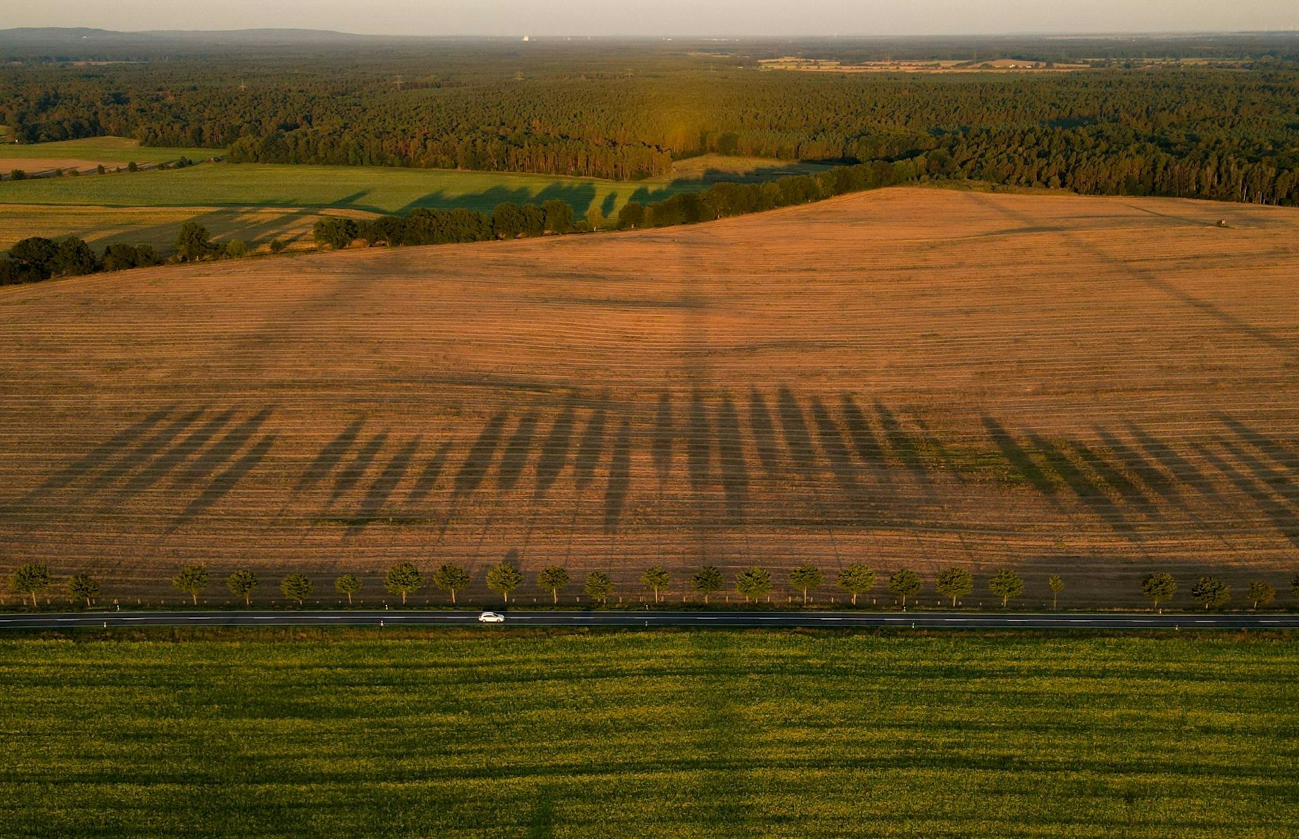 Am Morgen sind die Schatten noch lang - wie hier auf einem Feld im Landkreis Oder-Spree.  