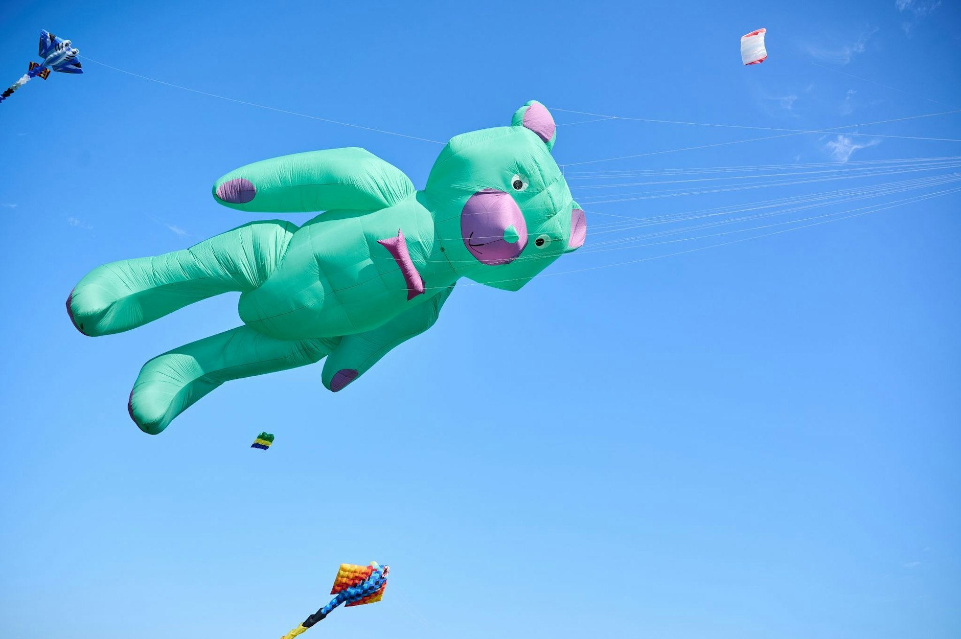 Hoch hinaus geht's heute für Riesendrachen auf dem Tempelhofer Feld in Berlin.