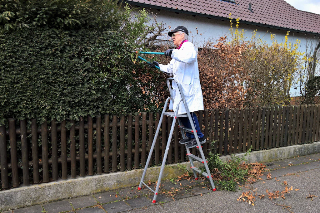 Darf ich jetzt schon Hecken und Sträucher schneiden?