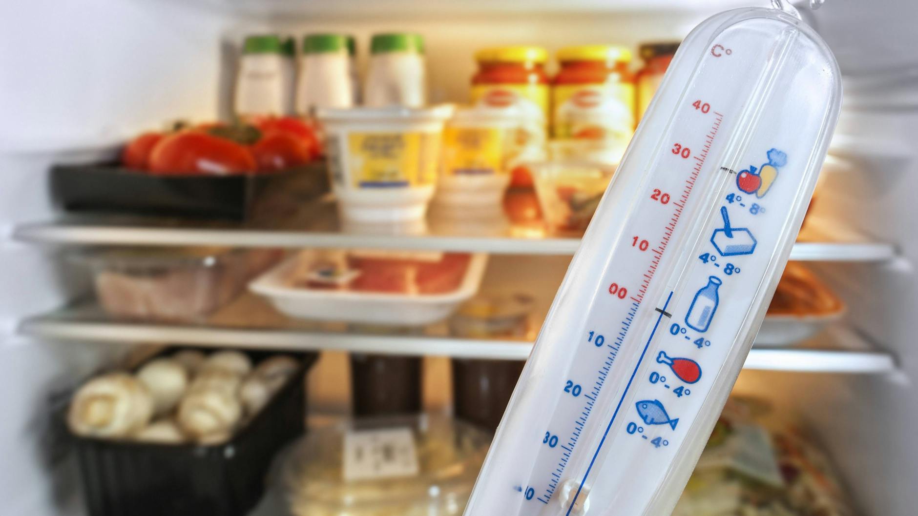 Kühlschrank und Gefrierschrank sind die größten Übeltäter. Zum Glück kann man auch hier ganz leicht Energie sparen.