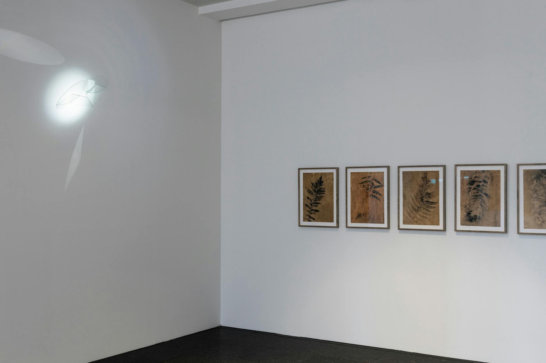 Jakob Mattner: Farne, die Ur-Pflanzen, und links oben sein gläsernes „Zwielicht“ als humoriges Selbstporträt