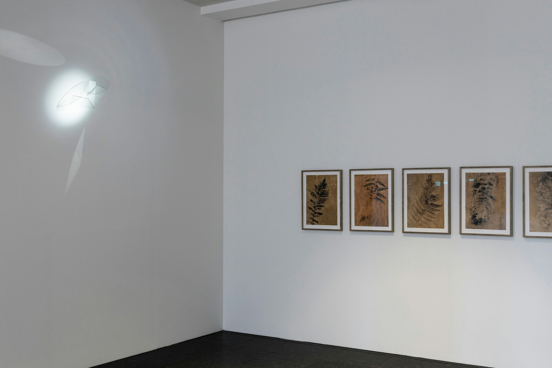 Jakob Mattner: Farne, die Ur-Pflanzen, und links oben sein gläsernes „Zwielicht“ als humoriges Selbstporträt