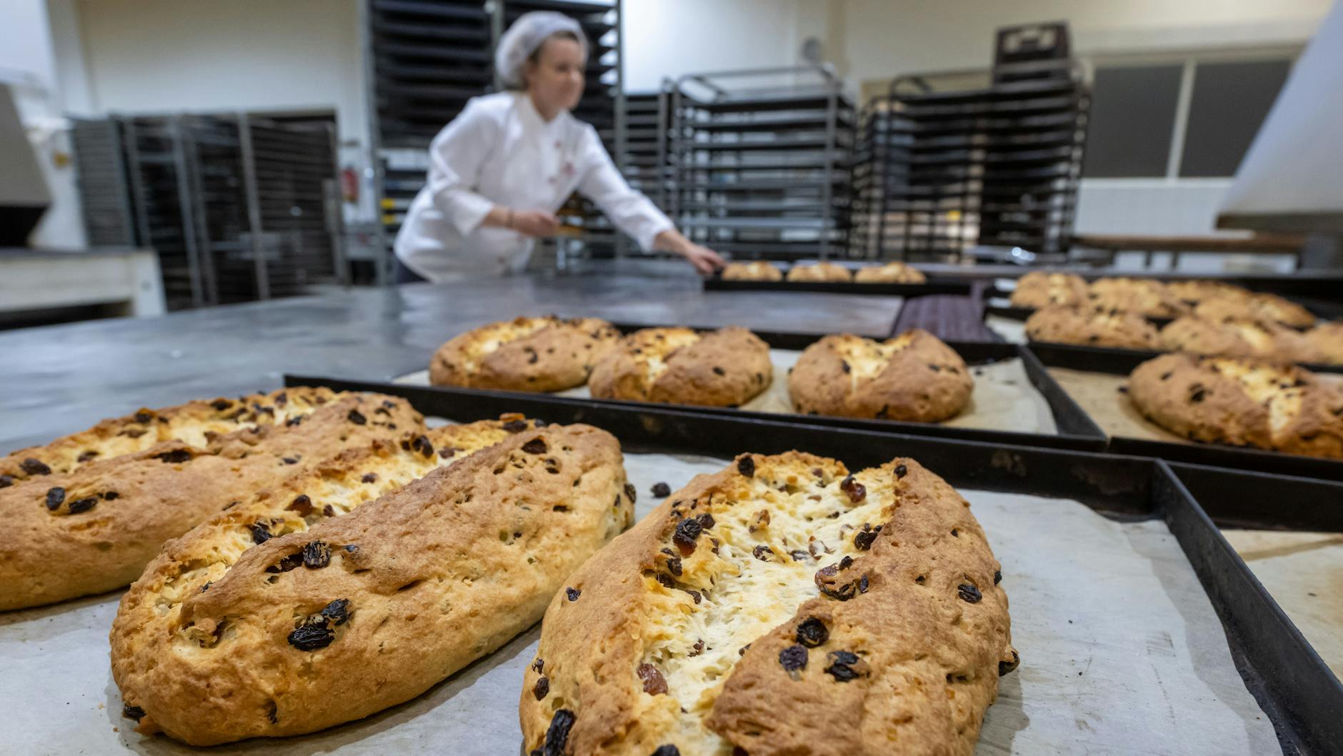 In den Süßwarenfirmen wird bereits seit Wochen für Weihnachten auf Hochtouren produziert – wie diese Christstollen in der Backstube der Annaberger Backwaren GmbH in Sachsen.