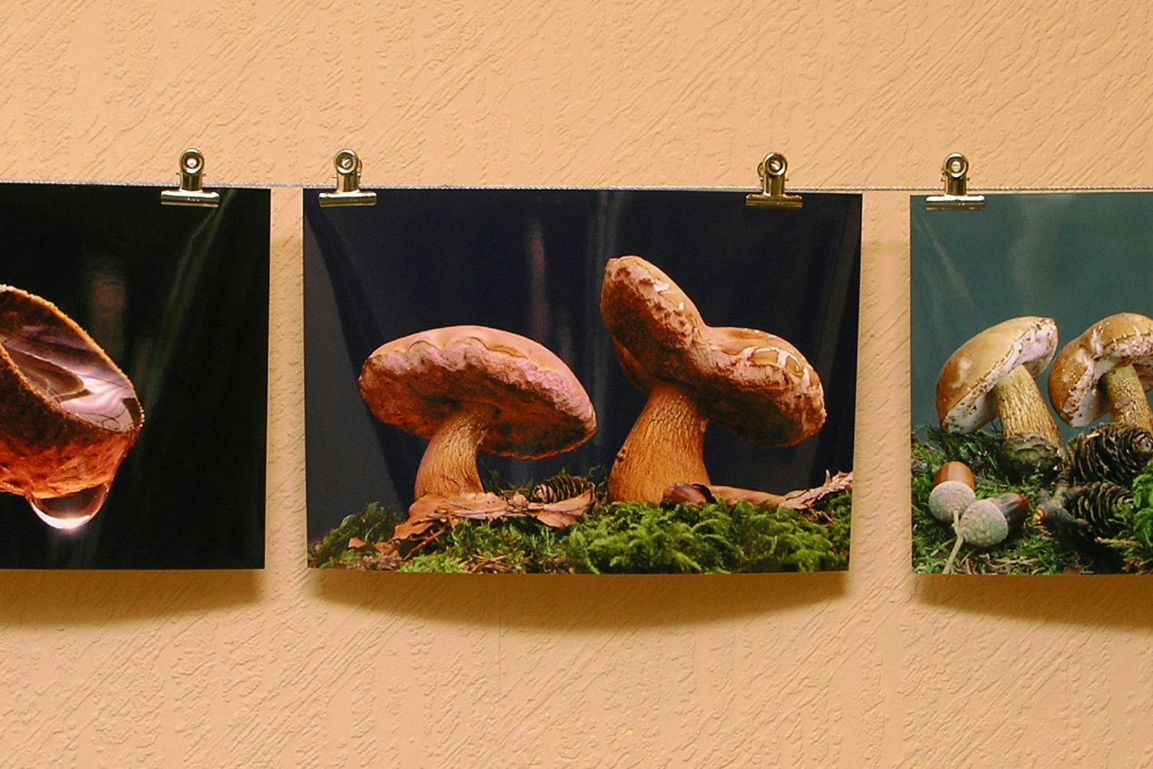 Wenigstens kein Berghain-Flyer.