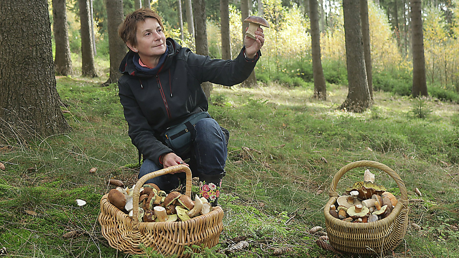 Man sollte nur Pilze sammeln, die man wirklich kennt.