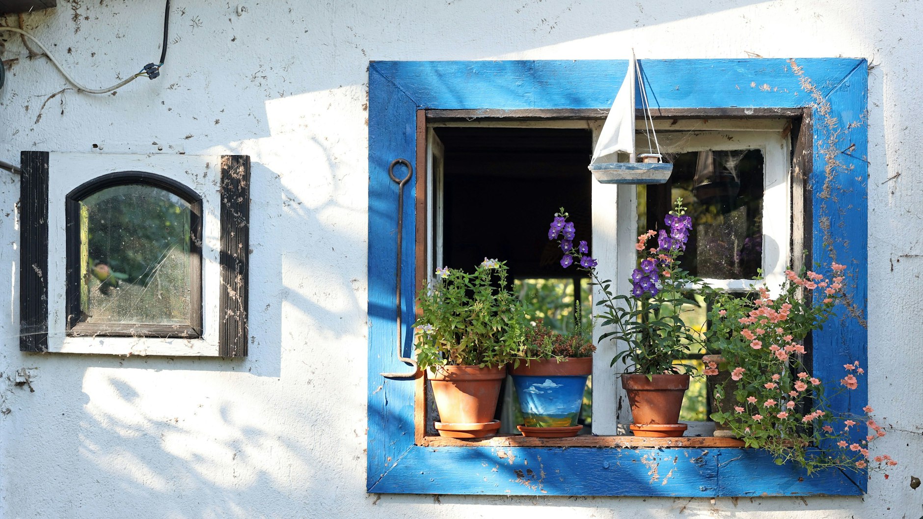 Noch ein paar sonnige Tage mit Blumen vor der Laube genießen. Manche ziehen im Mai raus in den Garten und im Oktober erst wieder zurück in die Wohnung.&nbsp;