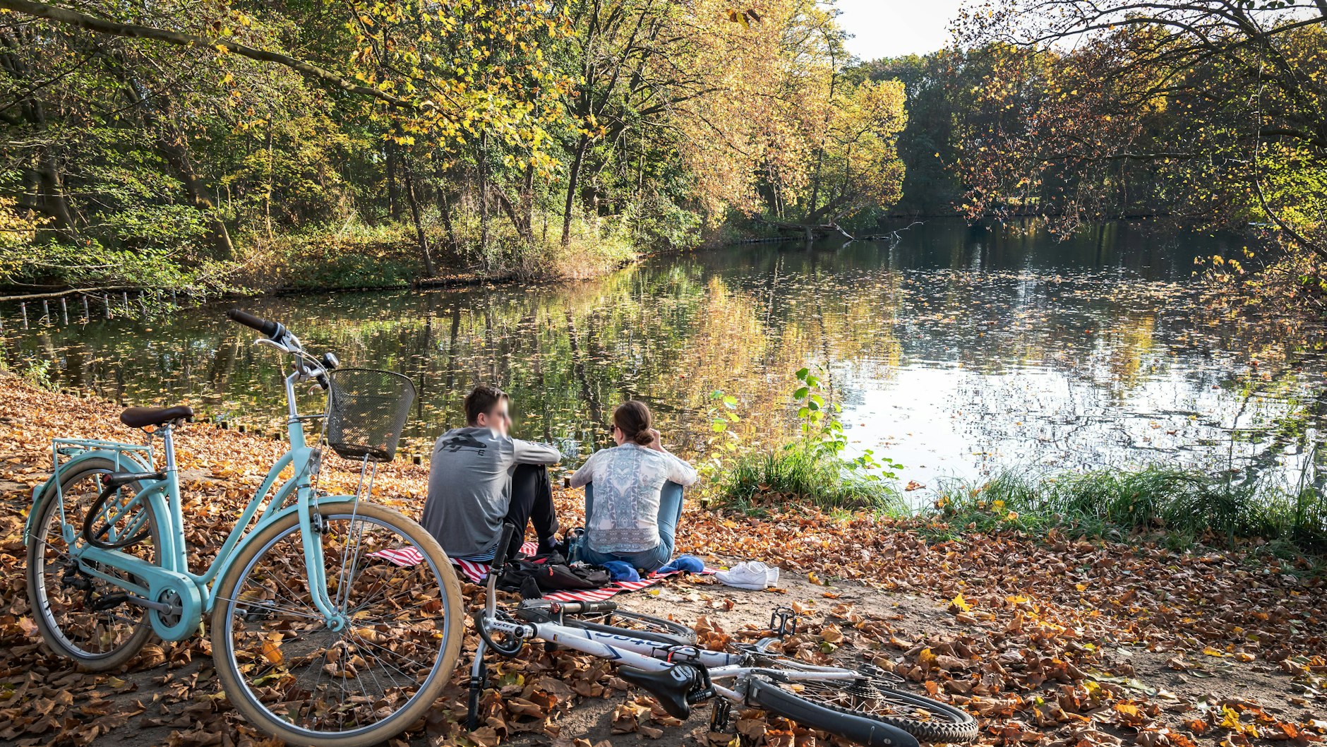 Im Tiergarten kann man sich im Herbst nicht nur prima am Neuen See erholen. In dem großen Park kommen auch Pilzsammler auf ihre Kosten.