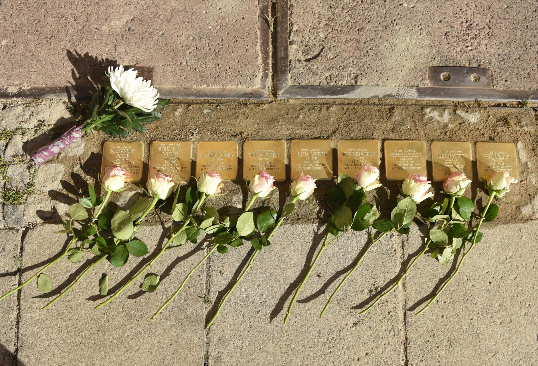 Neun Rosen für die Eltern und die sieben Kinder der Familie Weber.