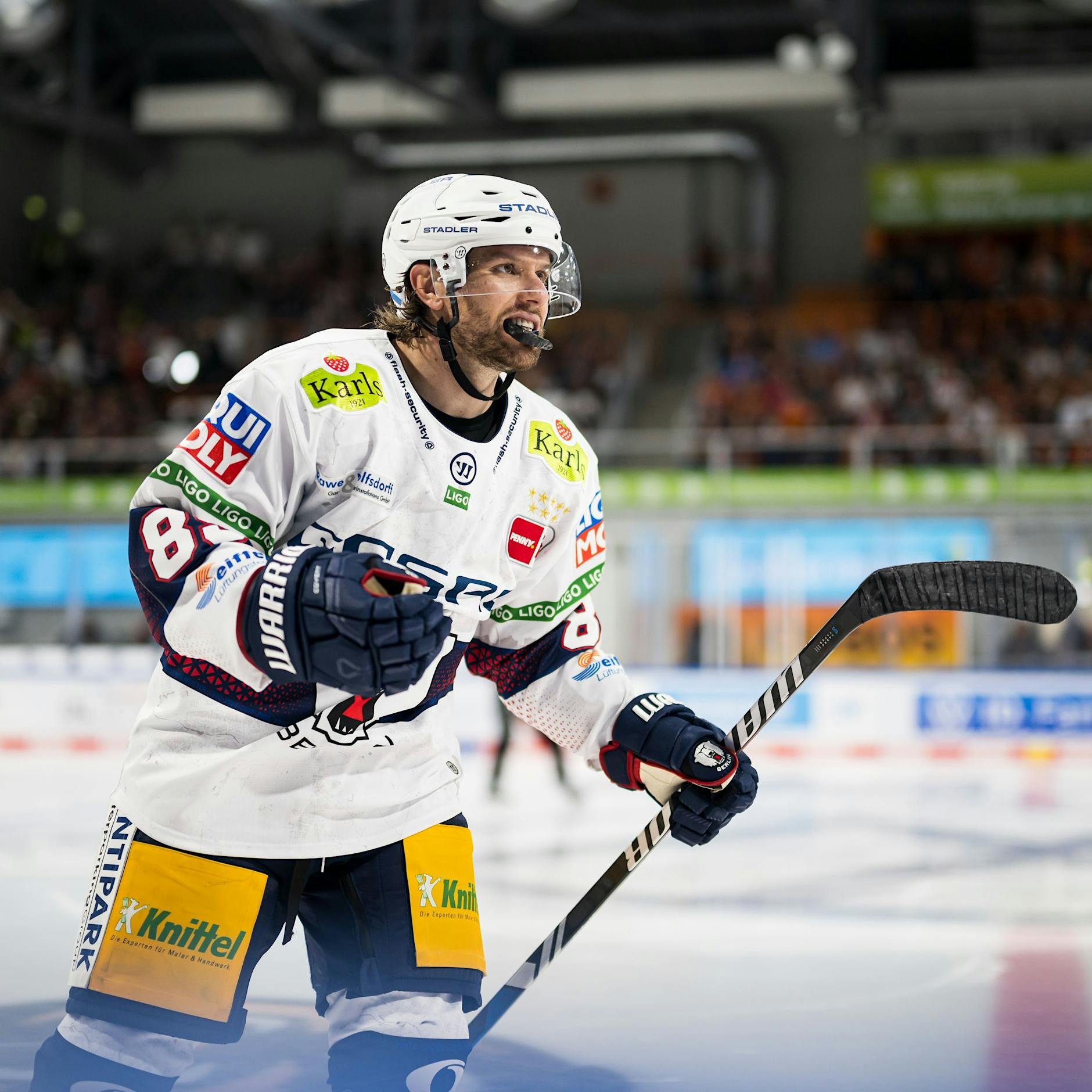 Eisbär Zach Boychuk flüchtet vor dem Winter nach Florida