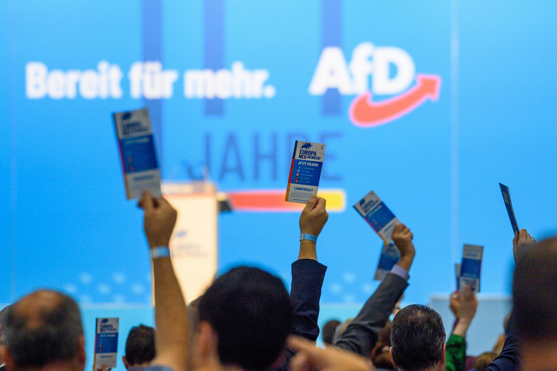 In den Umfragen liegt die AfD im Osten deutlich vorn.