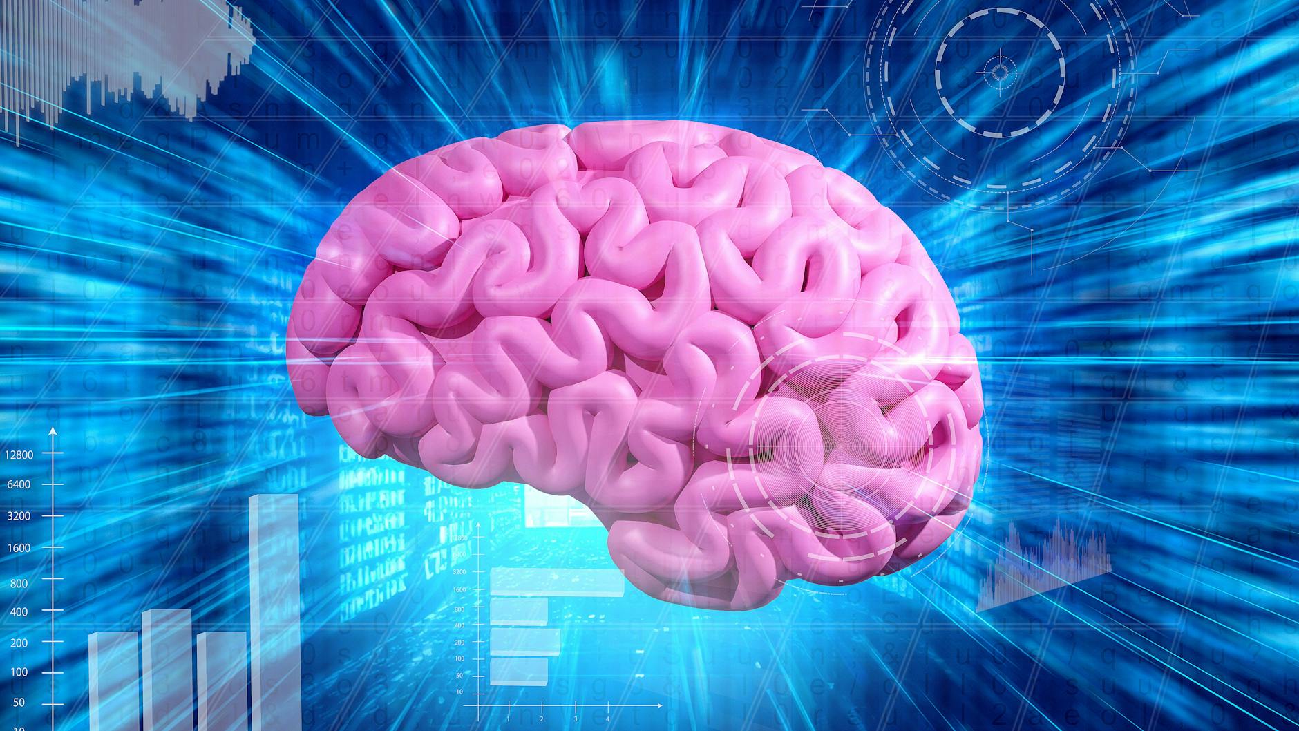 Mit der einfachen Loci-Methode wird das eigene Gehirn zum Superspeicher.