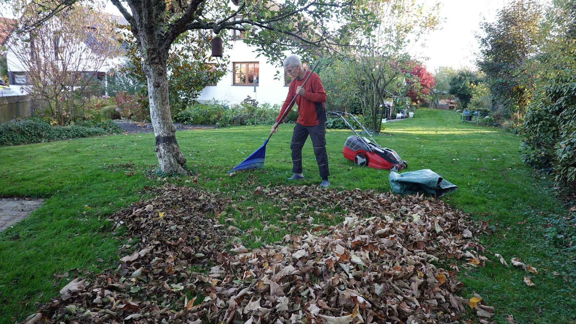 Während Laub bei vielen Pflanzen im Garten als Frostschutz dienen kann, sollte es von Wiese und Rasen entfernt werden. 