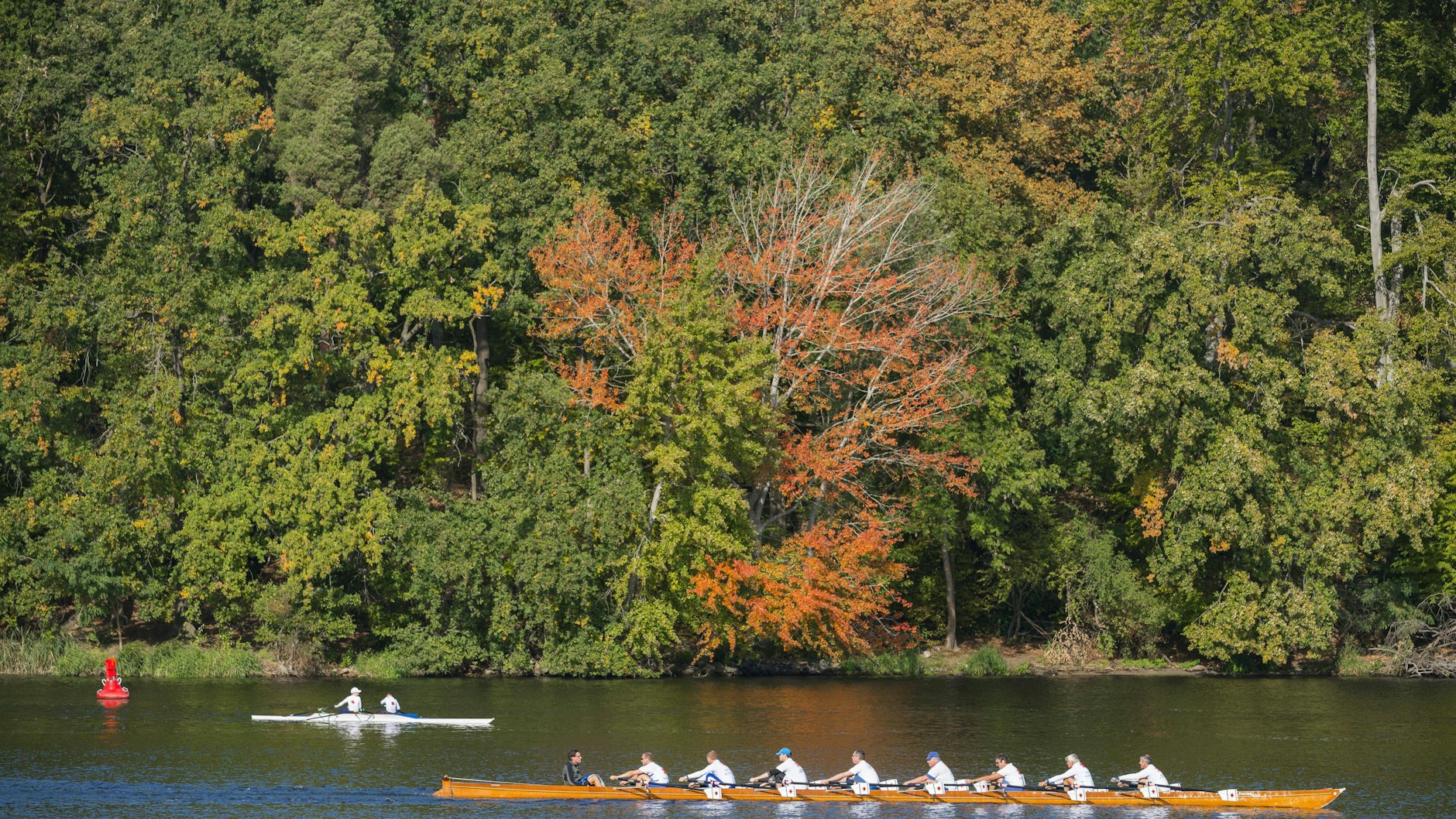 Der Wanderweg vom Düppeler Forst führt auch am Griebnitzsee vorbei.