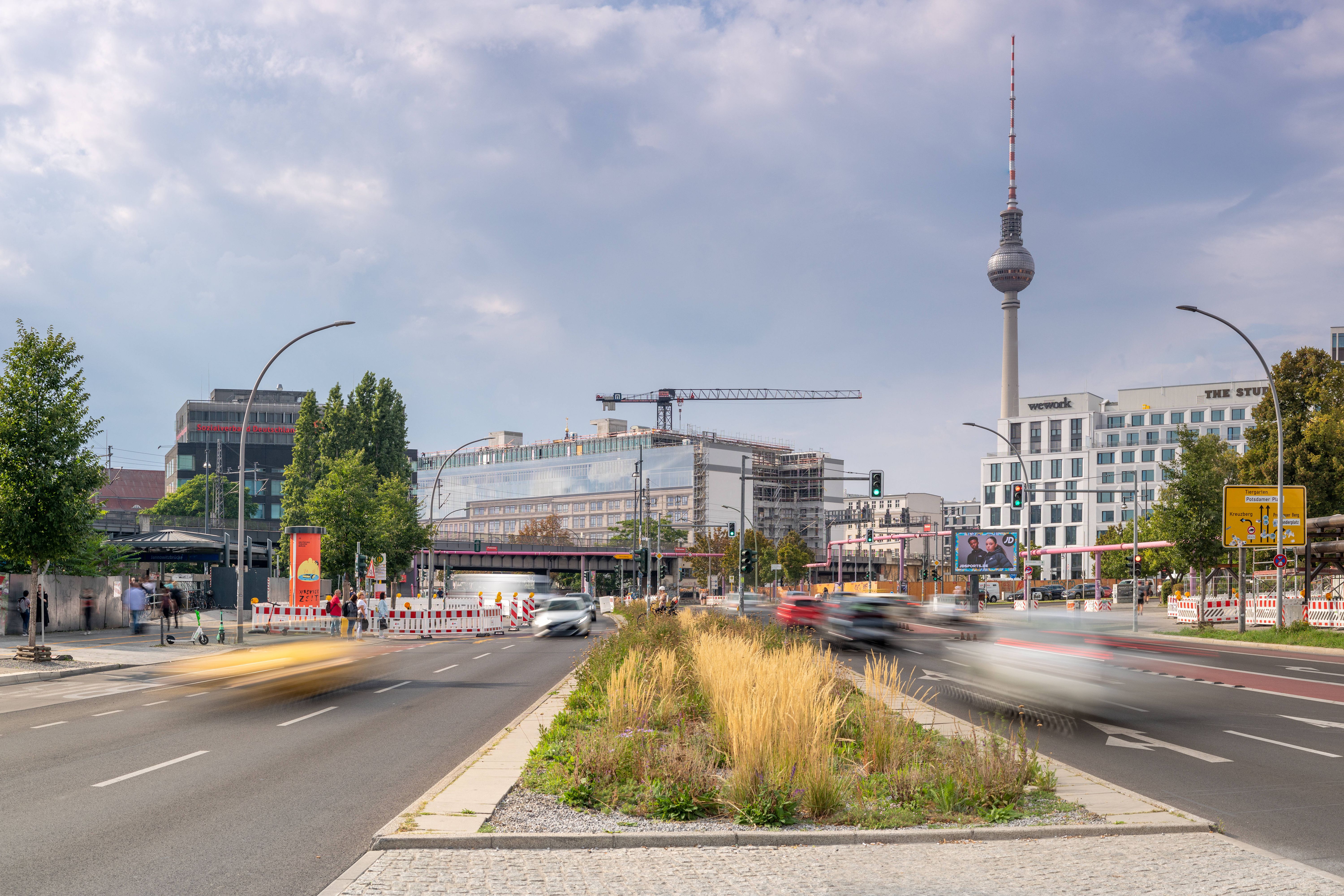 Das große Krabbeln! SO viele Insektenarten gibt es auf Mittelstreifen