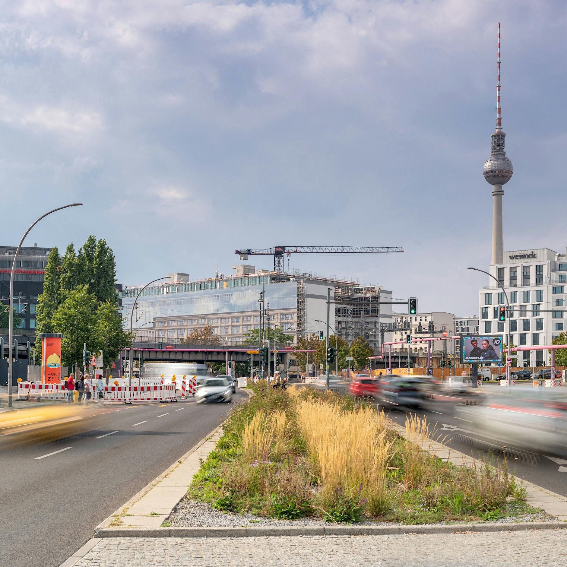 Das große Krabbeln! SO viele Insektenarten gibt es auf Mittelstreifen