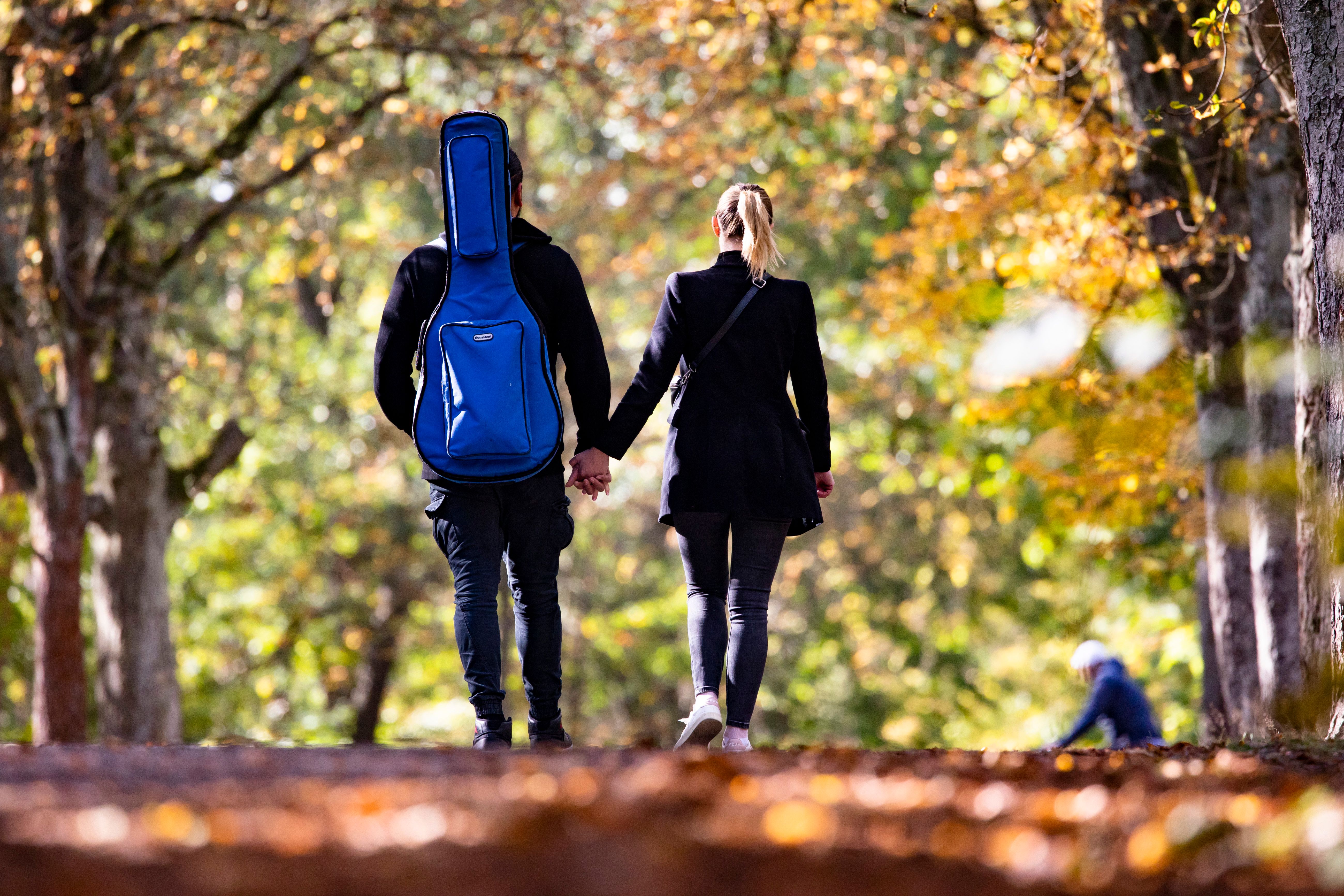 DIESE Berliner Wälder sind jetzt perfekt für Herbst-Spaziergänge!