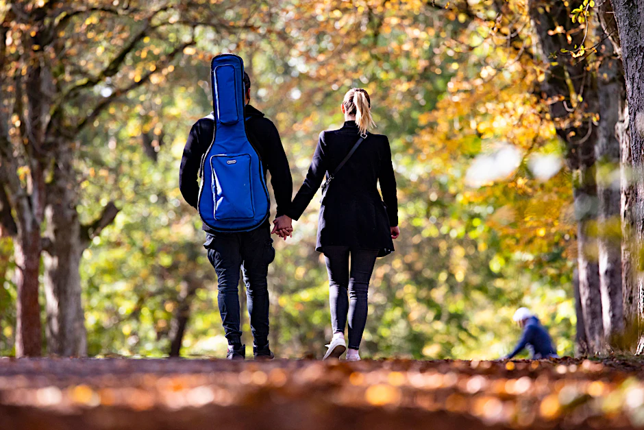 Die Herbstspaziergangs-Saison startet in Berlin! Sehr schön ist es unter anderem im Grunewald.