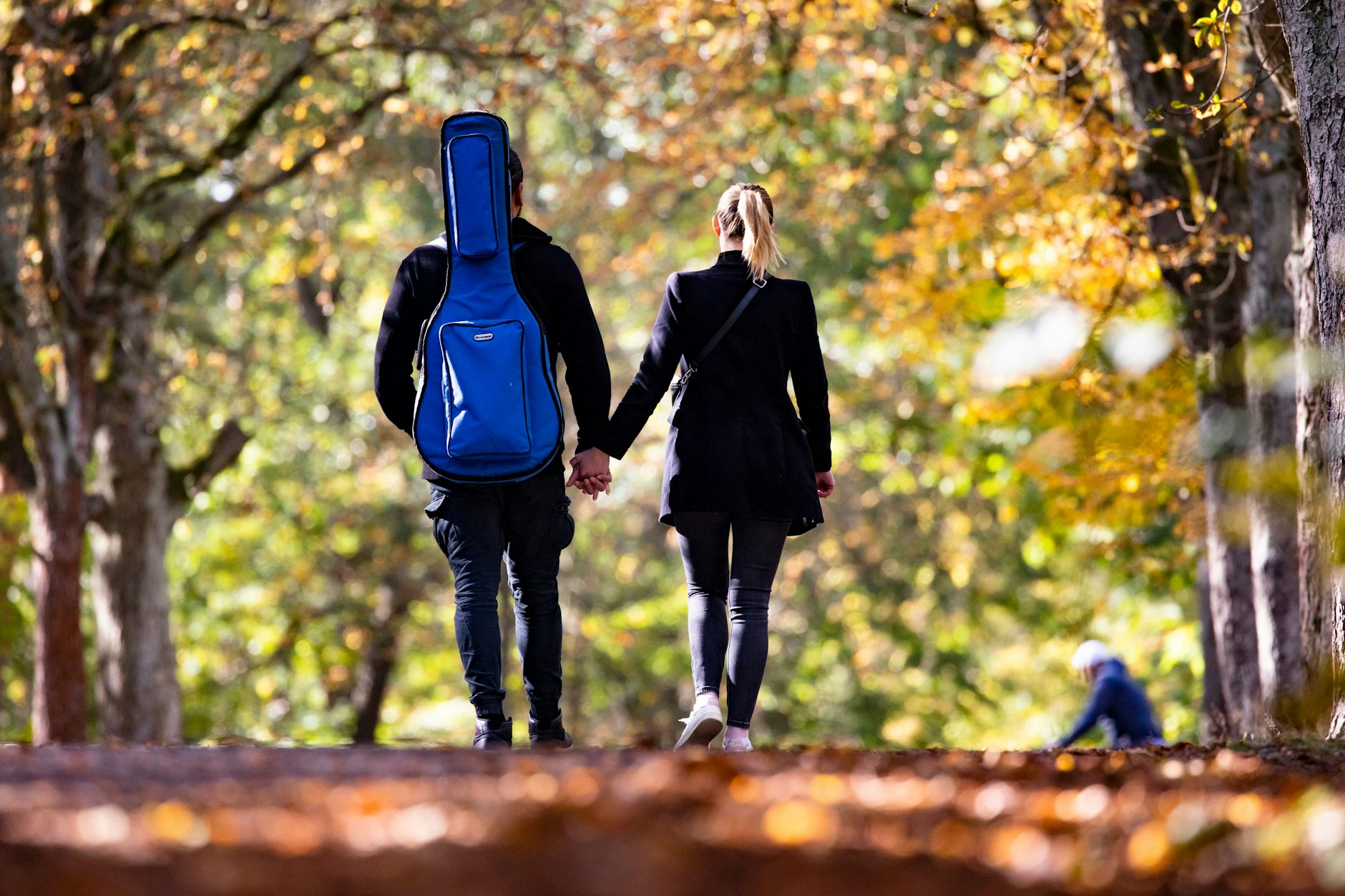 Die Herbstspaziergangs-Saison startet in Berlin! Sehr schön ist es unter anderem im Grunewald.