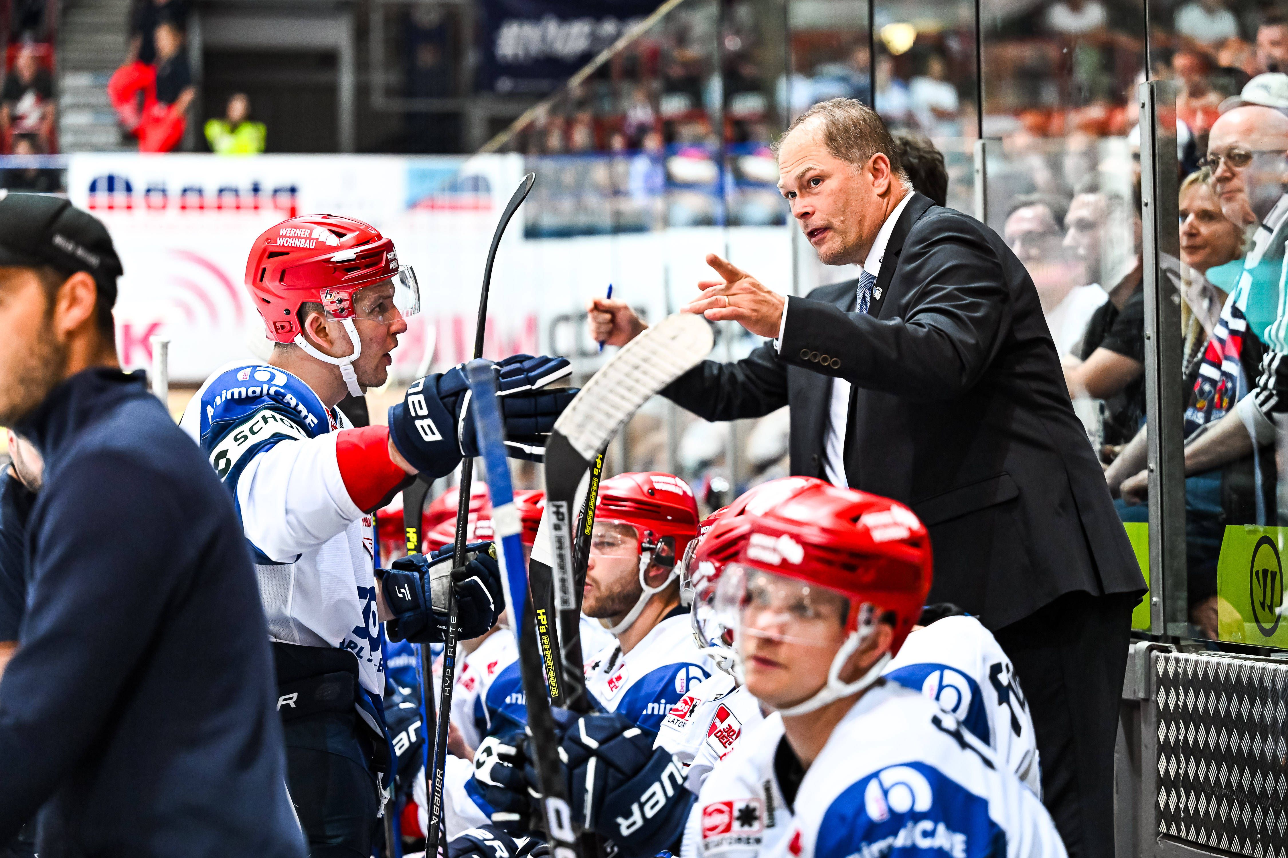 Image - Eisbären-Legende will Eisbären Berlin gewaltig die Laune verhageln