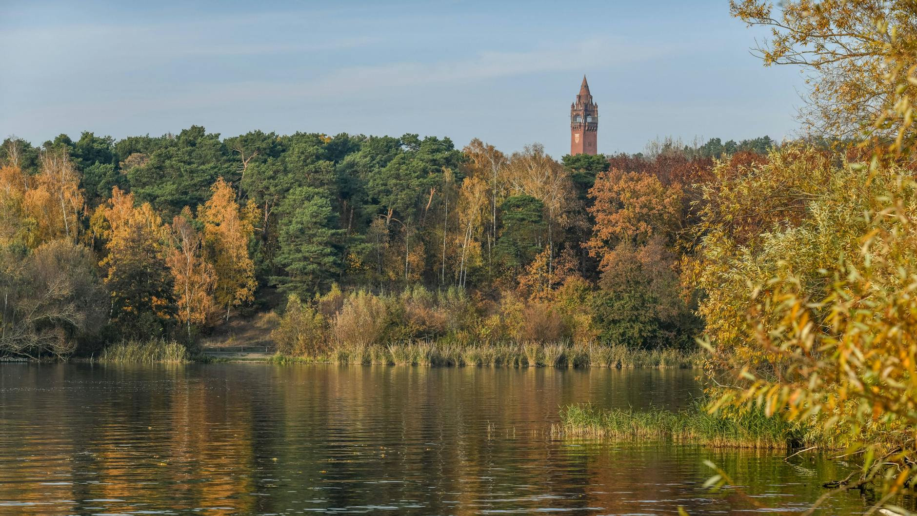 Der Grunewaldturm ist ein echtes Highlight und kann auch erklommen werden.