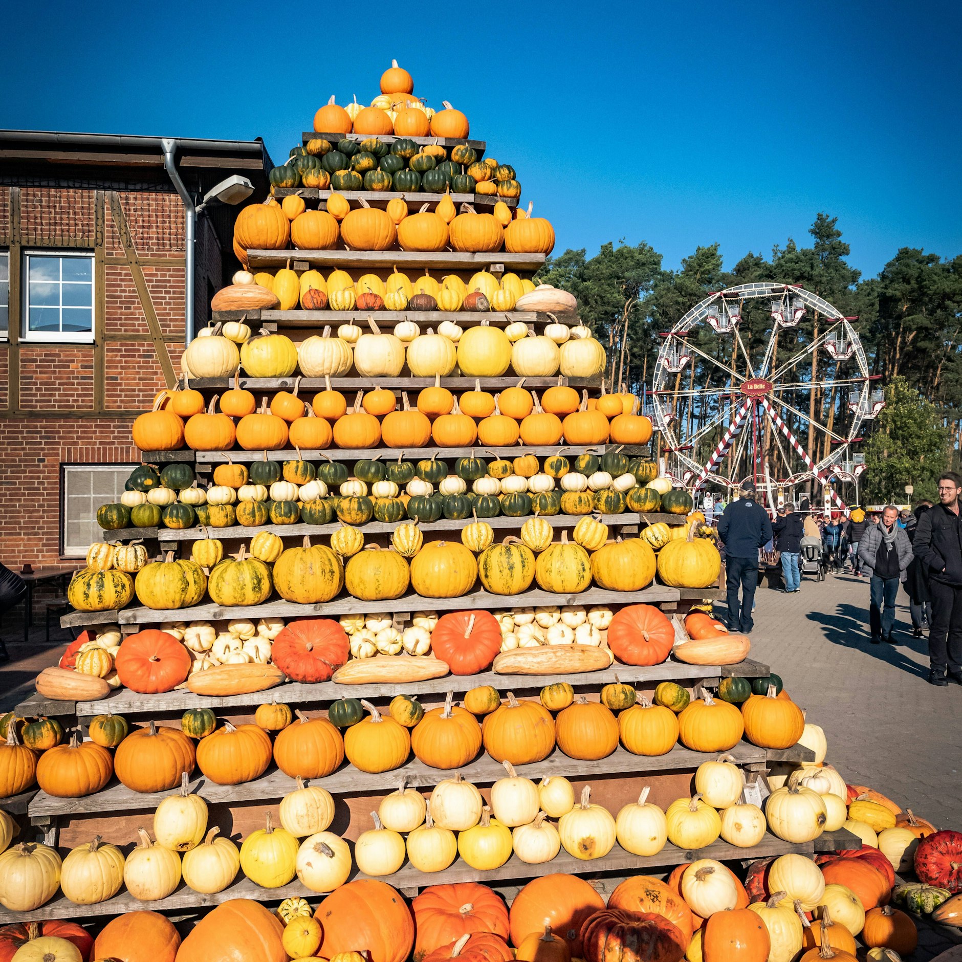 Auf dem Spargelhof in Klaistow sind aktuell Tausende Kürbisse ausgestellt.