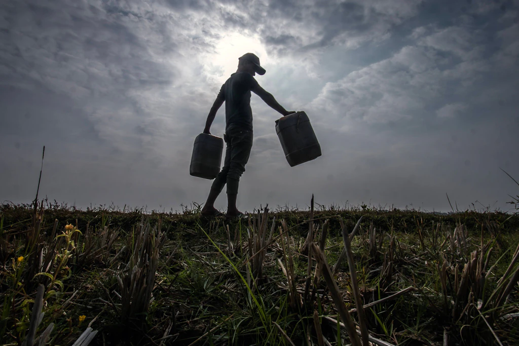 Immer mehr Klimaprozesse vor Gericht: Löst jetzt die Justiz die Klimakrise?