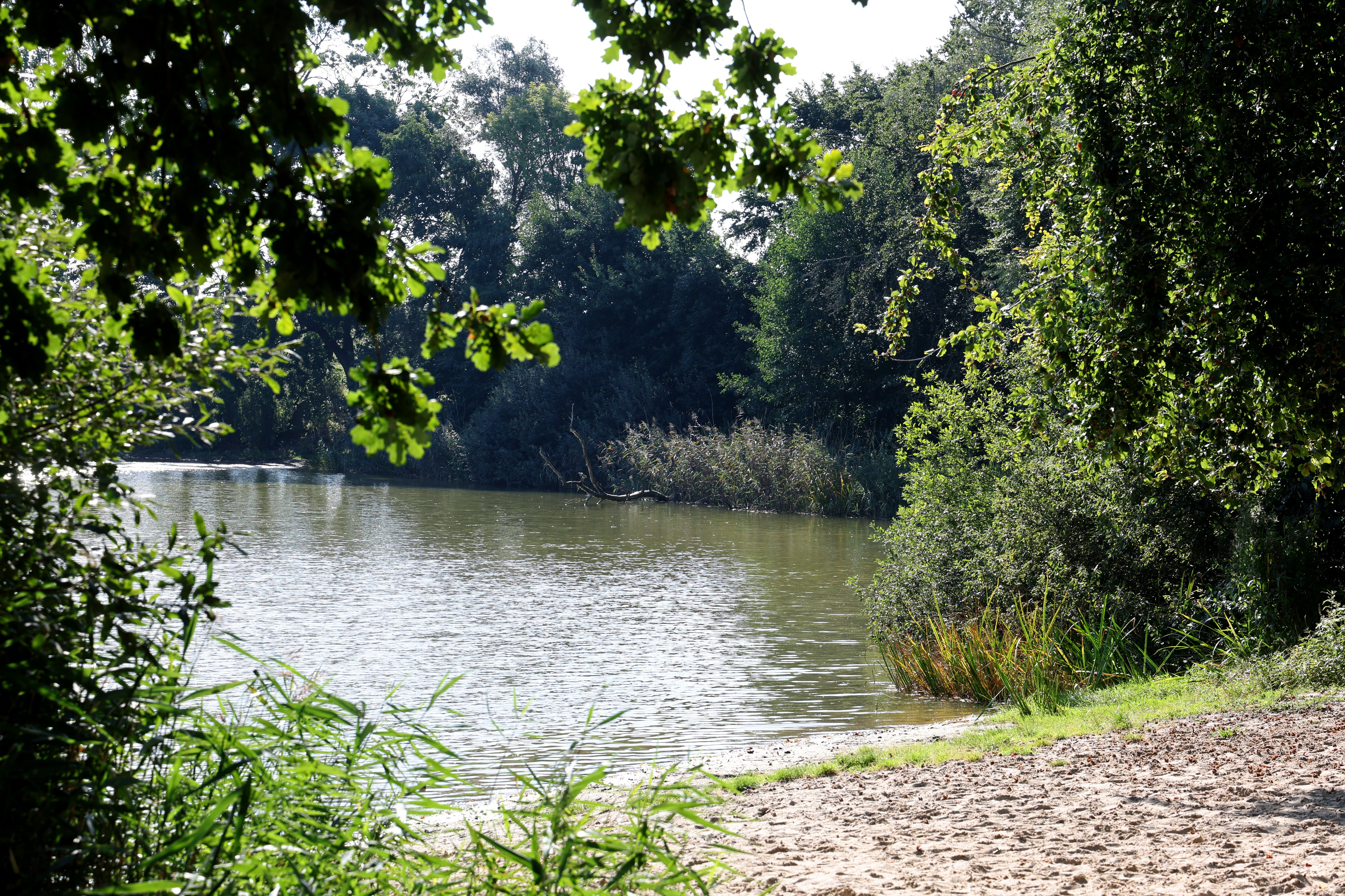 Image - Jugendlicher soll Sechsjährigen getötet haben – Festnahme