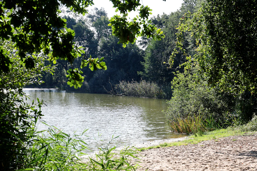 Jugendlicher soll Sechsjährigen getötet haben – Festnahme