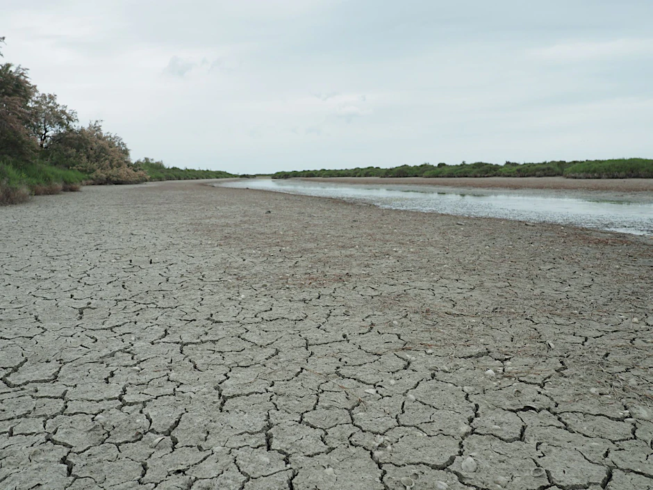 ARCHIV - Die anhaltende Trockenheit hinterlässt ihre Spuren - in Frankreich wird das Wasser knapp.  