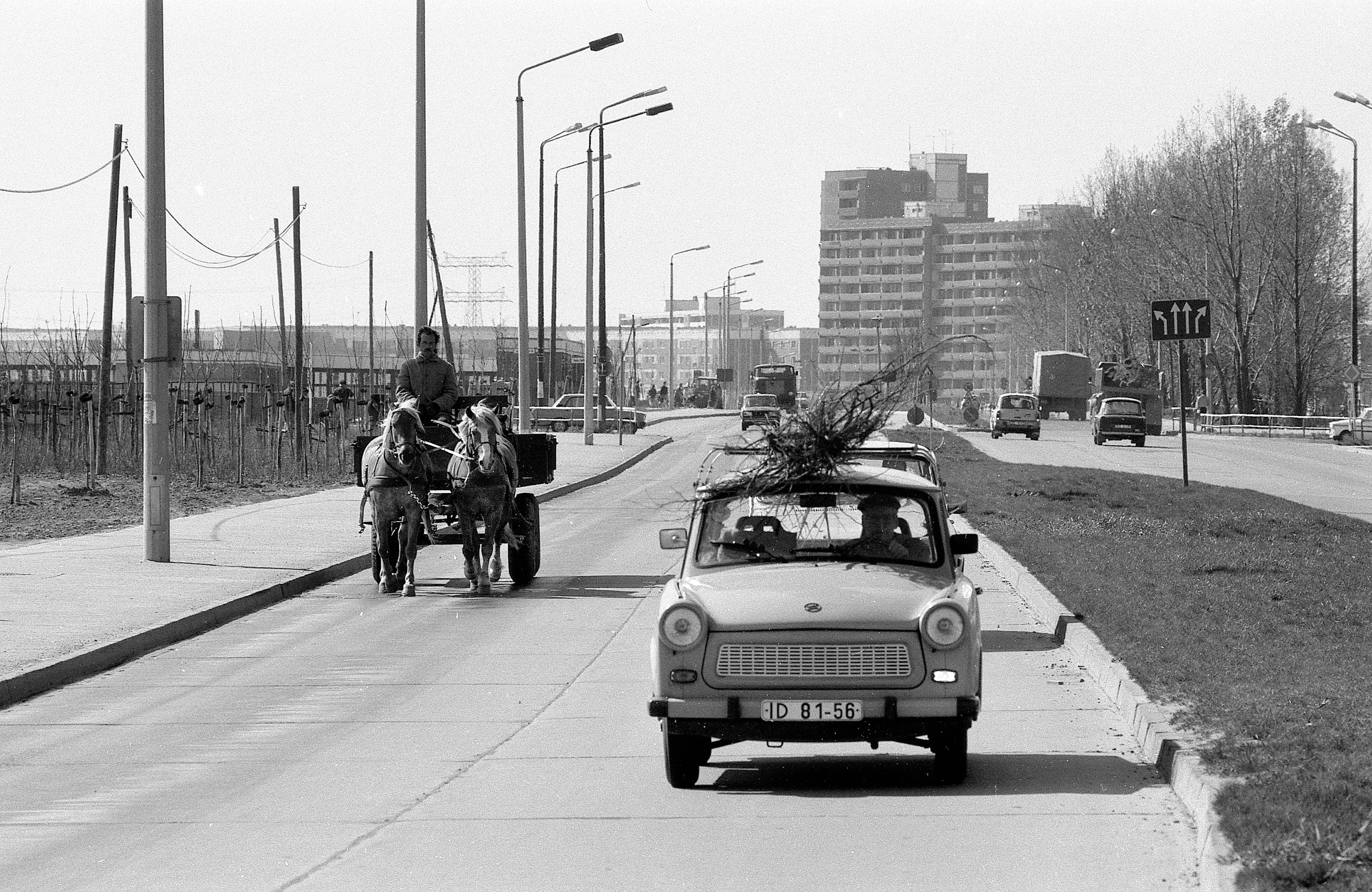 Image - Verlängerung! Alle wollen DDR-Alltagsfotos sehen