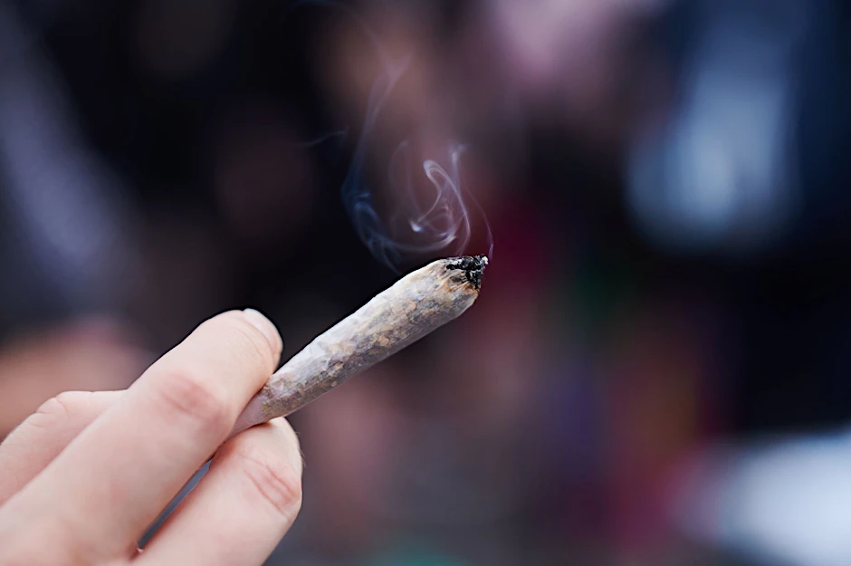 ARCHIV - Die Ampel-Regierung hat einen Gesetzentwurf für eine teilweise Cannabis-Legalisierung auf den Weg gebracht.  