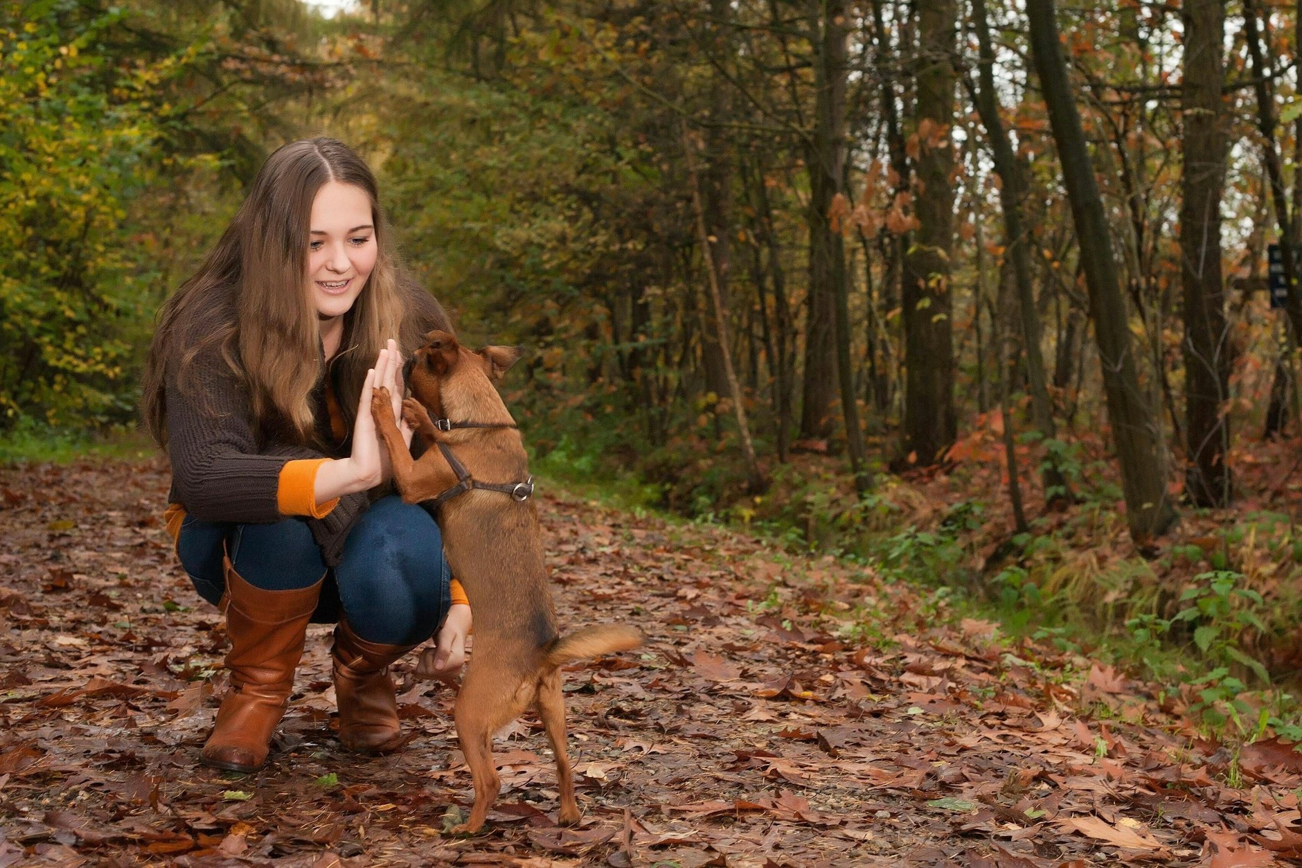 Entdecken Sie, was die Sterne heute für Sie im Horoskop bereithalten!