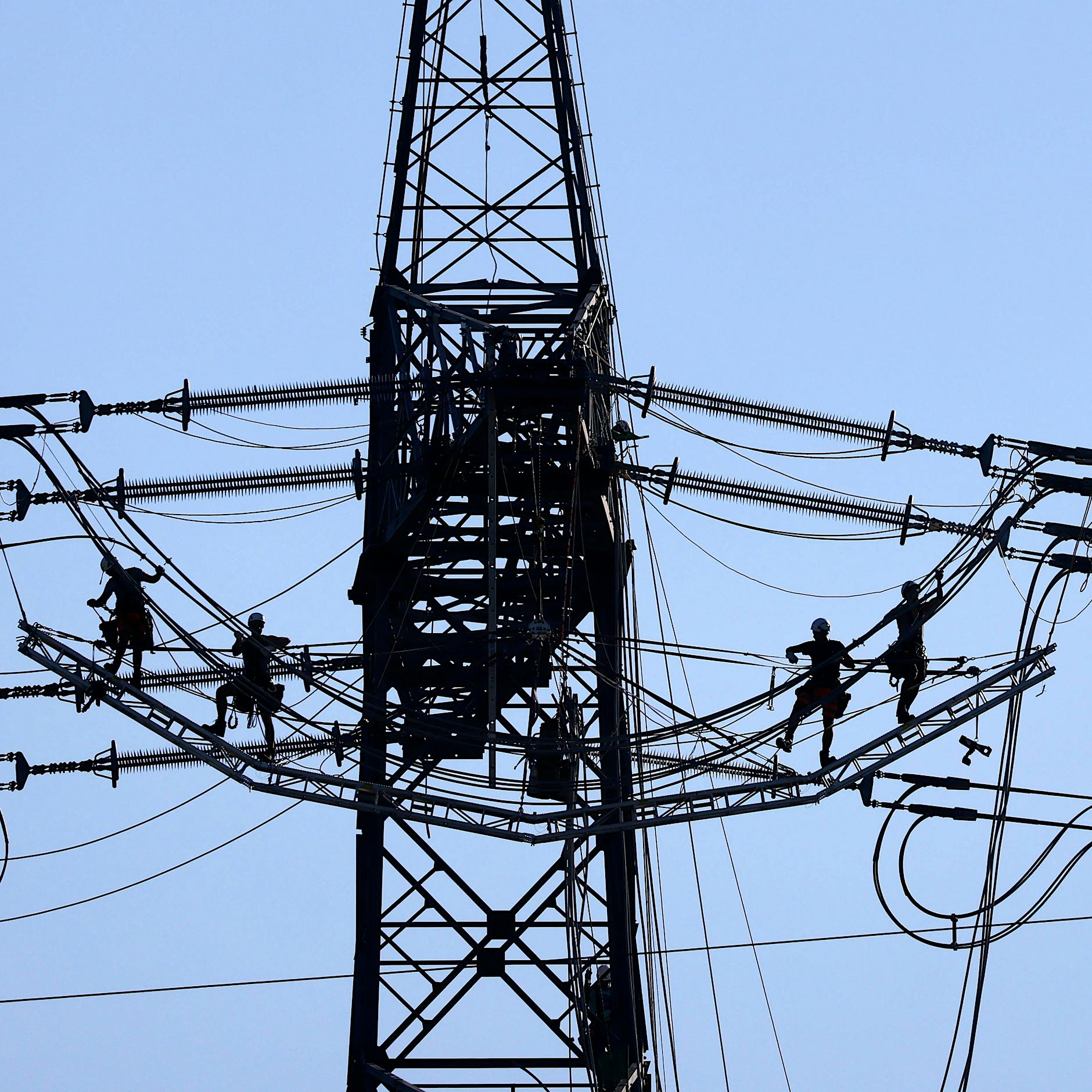 Lebensmittel, Inflation: Neue Studie zeigt, dass Unternehmen Preise treiben