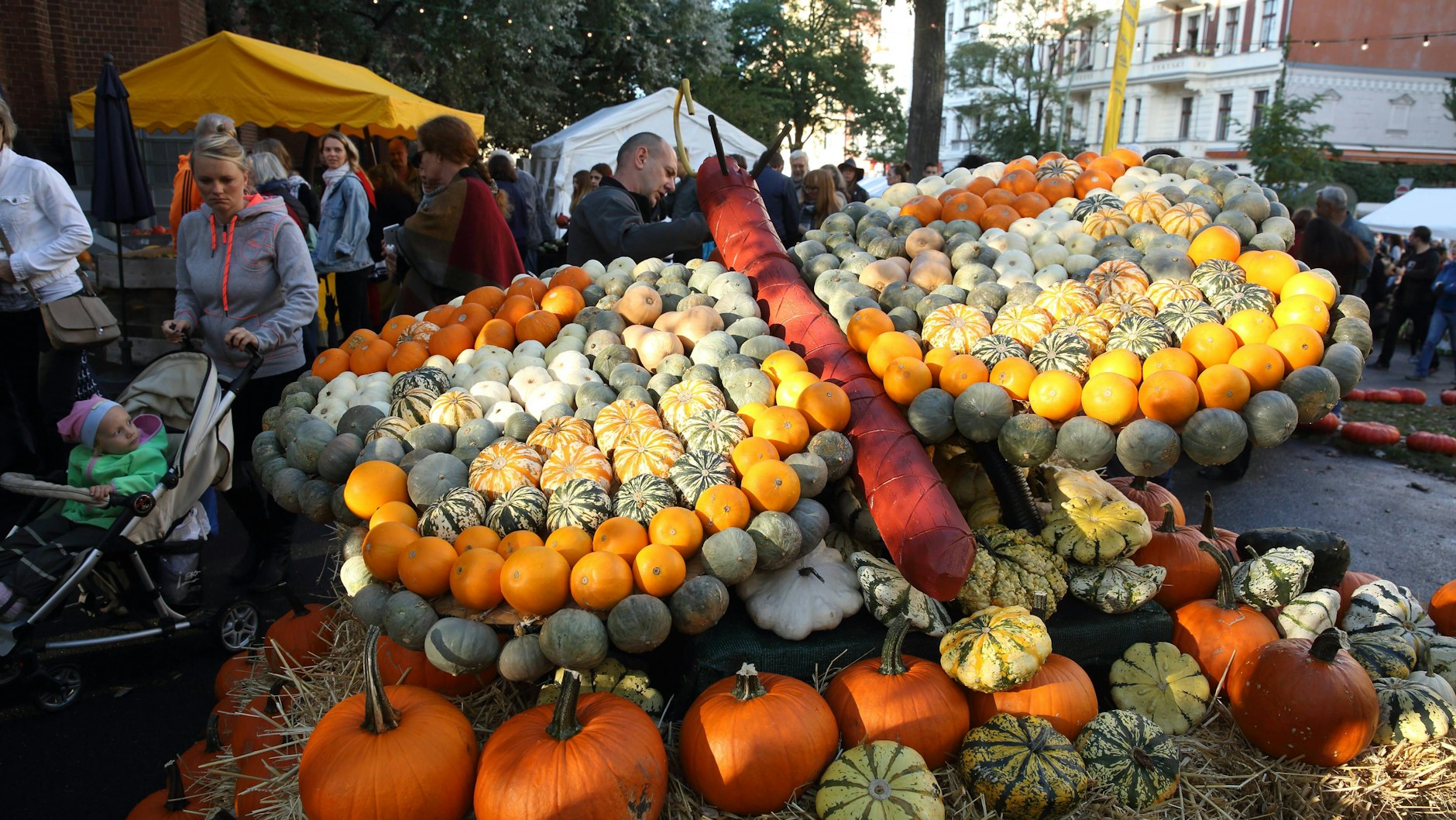 Das Kürbisfest im Akazienkiez findet diesen Samstag und Sonntag statt. Der Eintritt ist kostenlos.