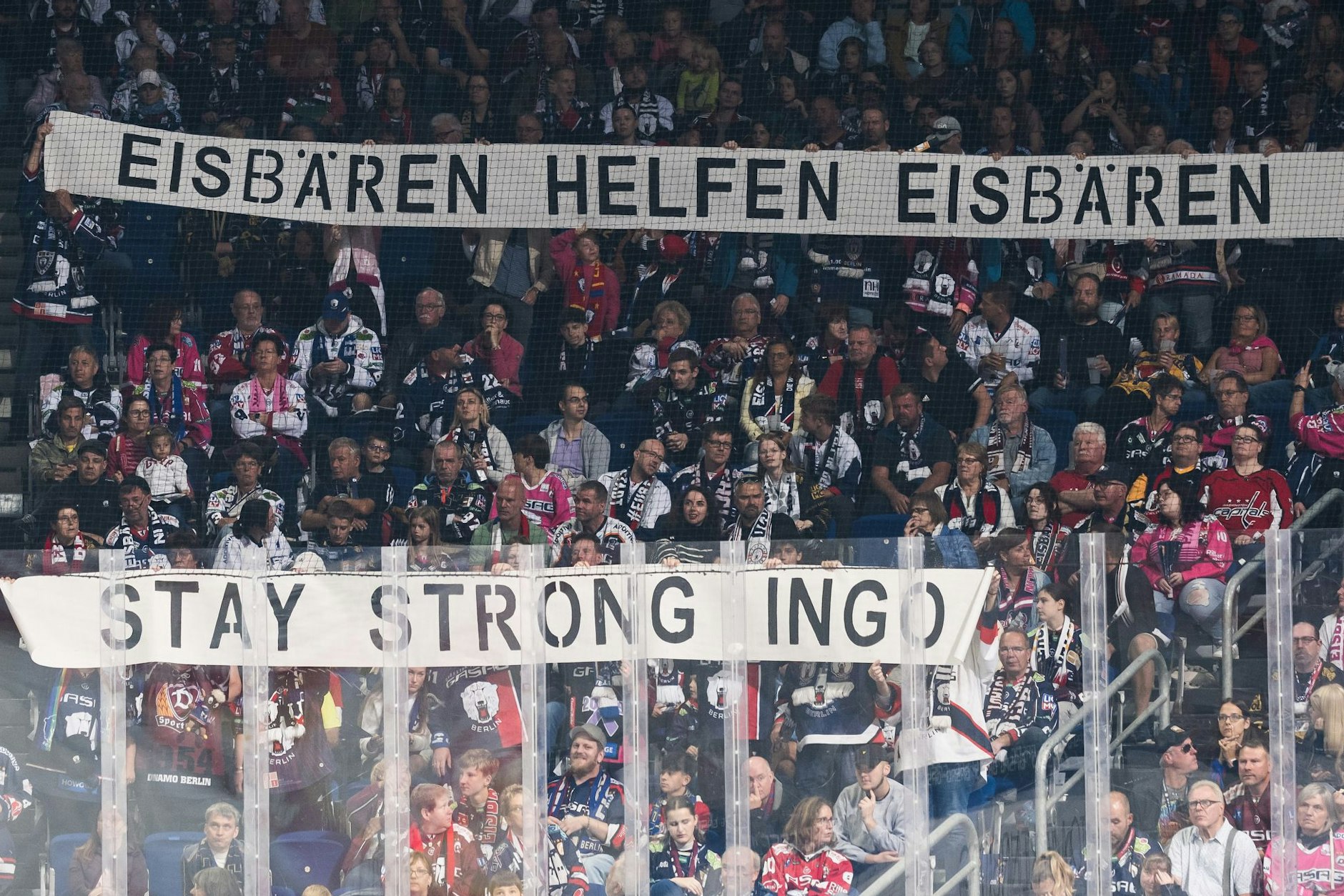 So engagieren sich die Eisbären-Anhänger fangruppenübergreifend beim 5:0-Sieg des EHC gegen die Nürnberg Ice Tigers.