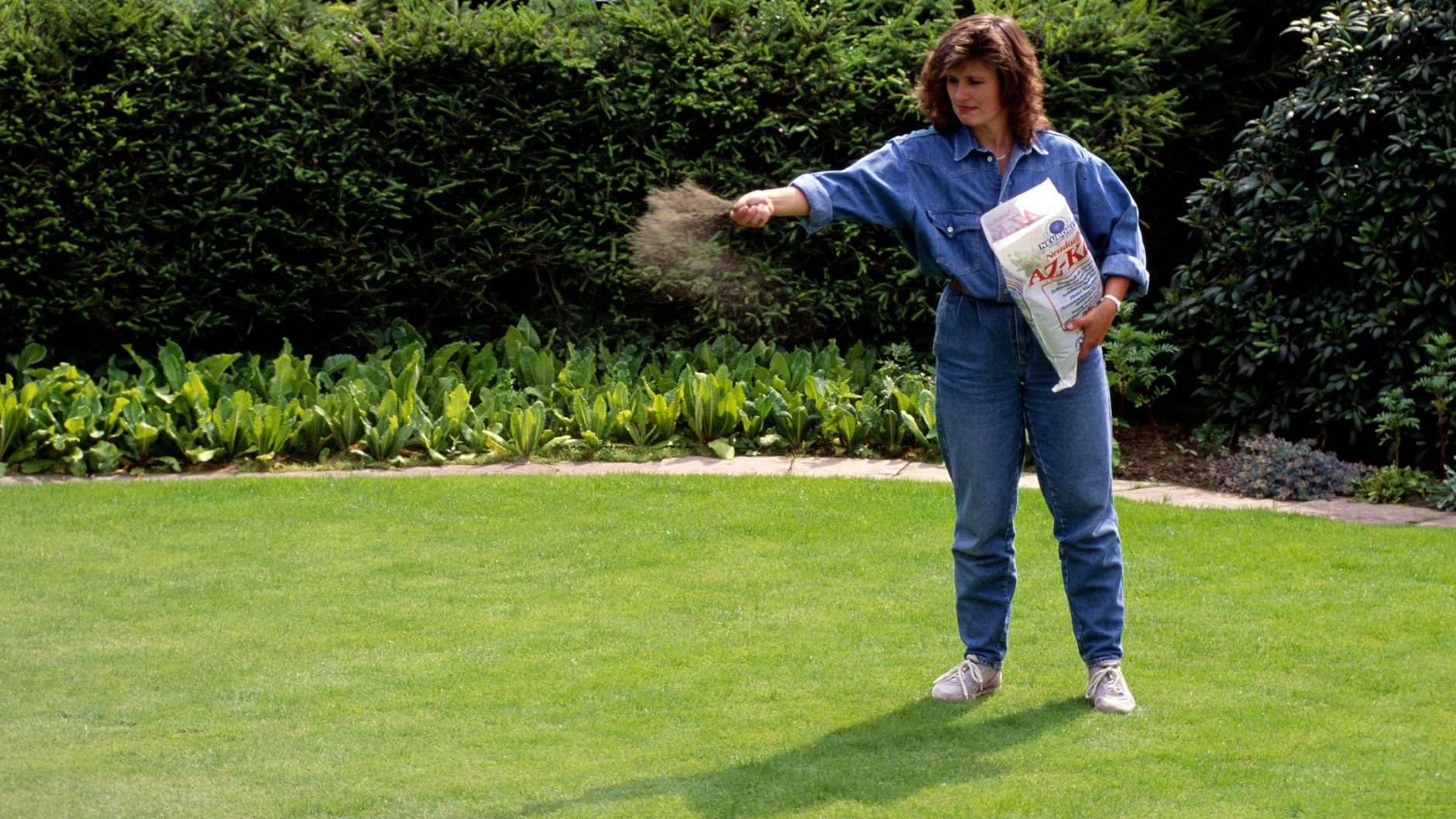 Vor dem Winter sollte man den Rasen noch einmal düngen.