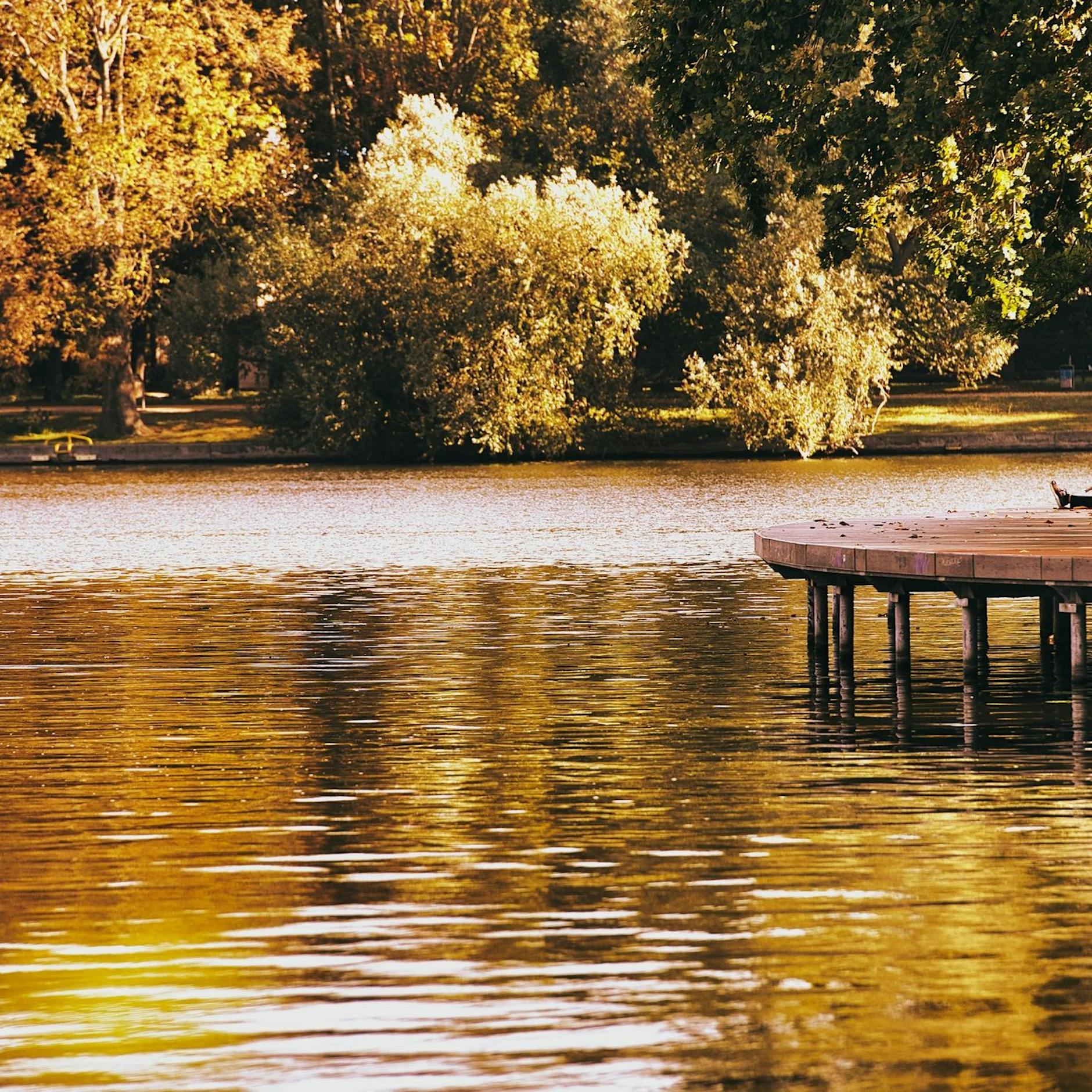 Wetter: Absturz in den Herbst ist nicht in Sicht – dafür gibt’s Sommer im Oktober