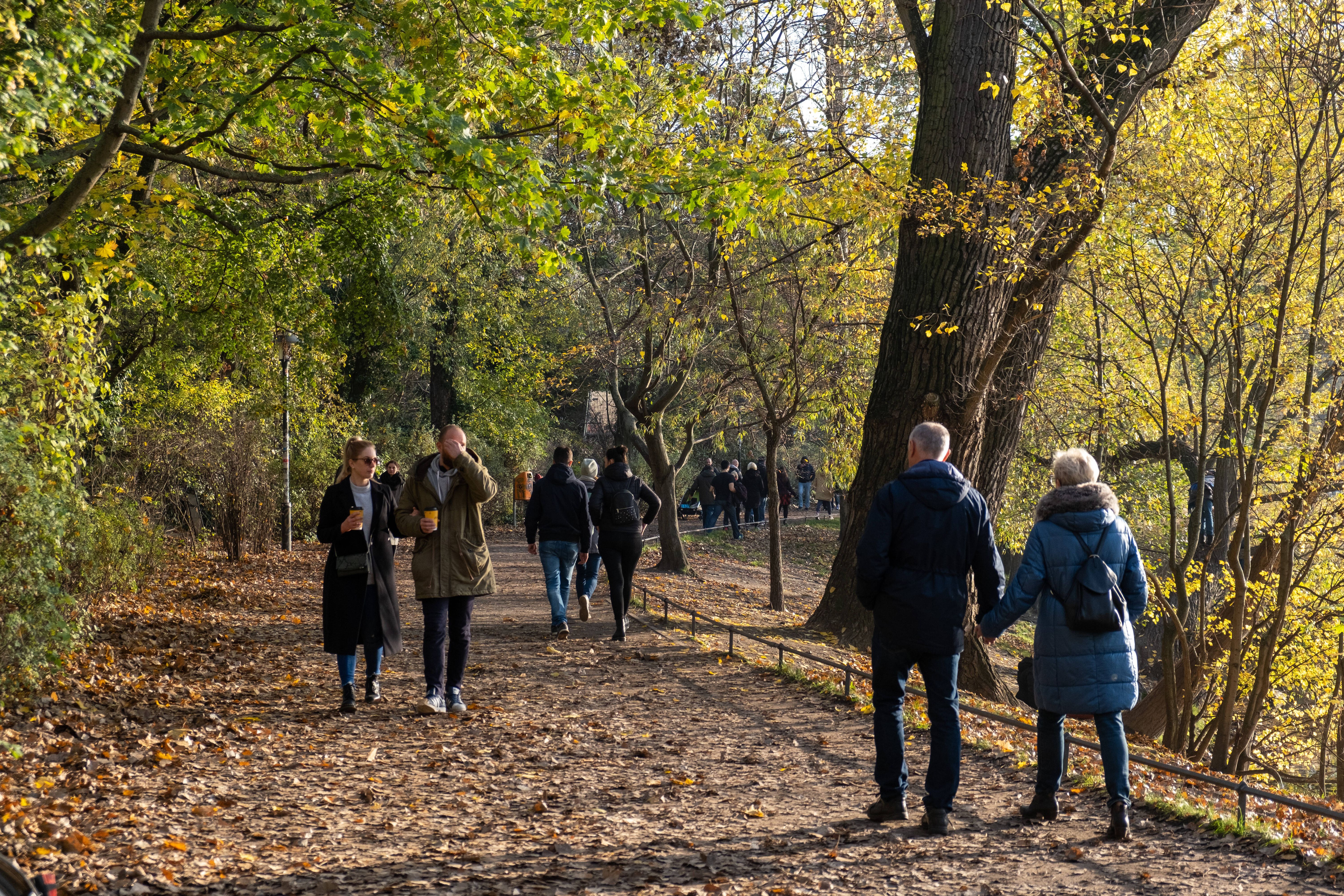 Sanierungsarbeiten starten! Park am Weißen See wird schick gemacht