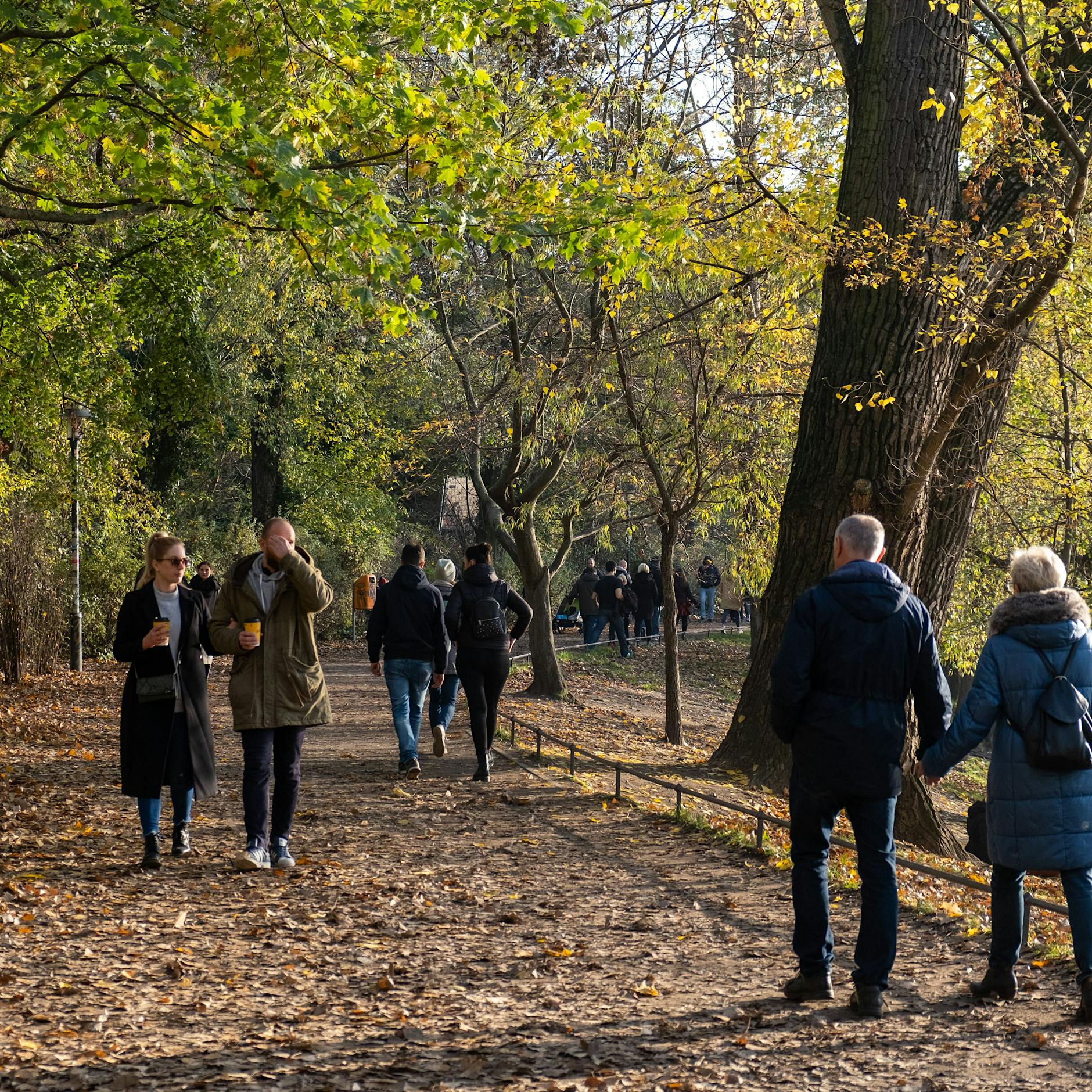 Sanierungsarbeiten starten! Park am Weißen See wird schick gemacht