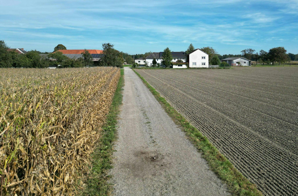 Kampfhund zerfleischt Joggerin auf Feldweg