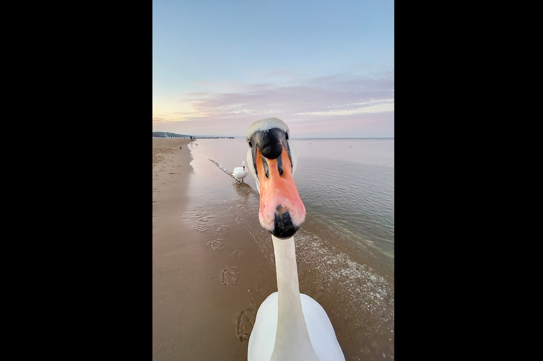 „Das ist mal ein Selfie!“